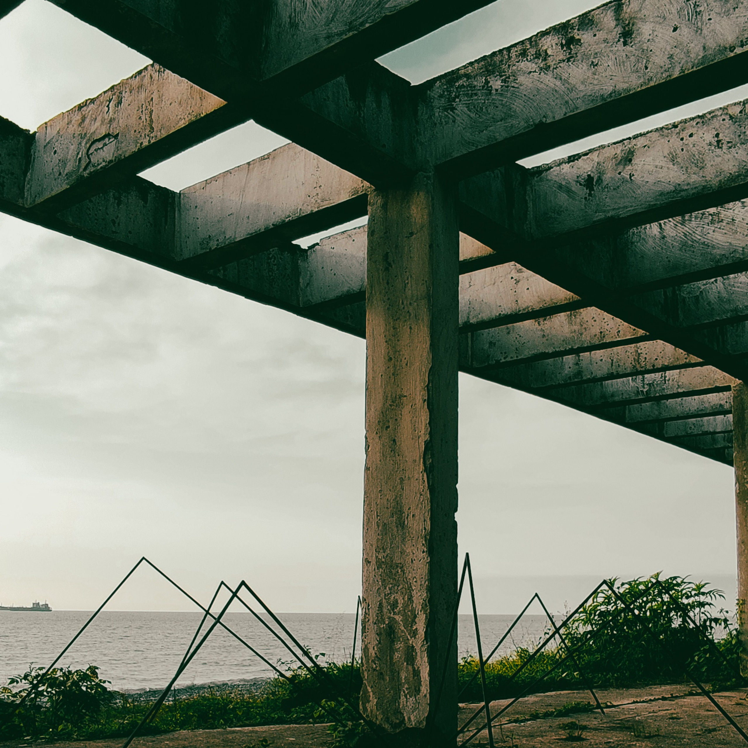 Curatorial projects. Mmiore