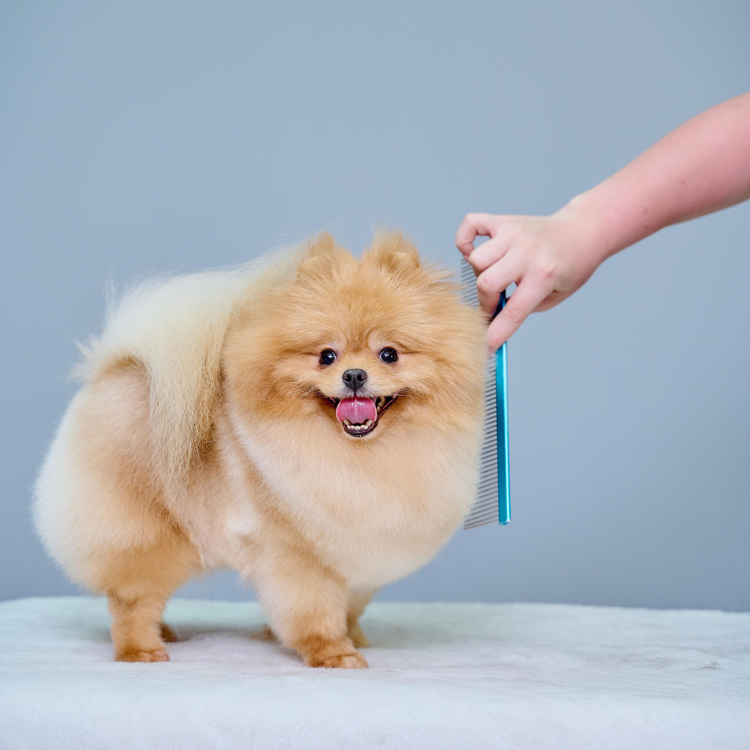 Отзывы. Фотограф в Магнитогорске Татьяна Лоскутова