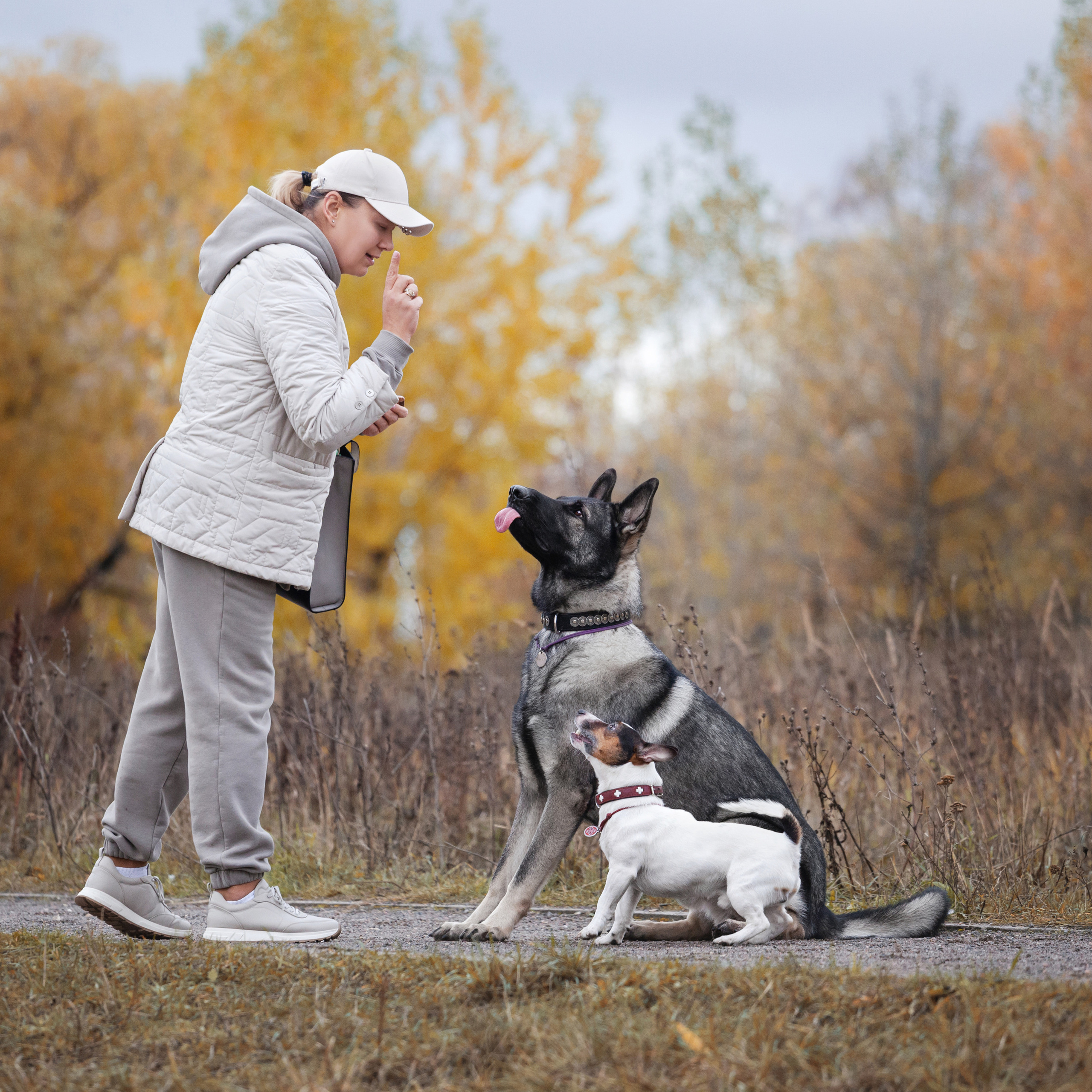 Отзывы. Фотограф-анималист Татьяна Степанова