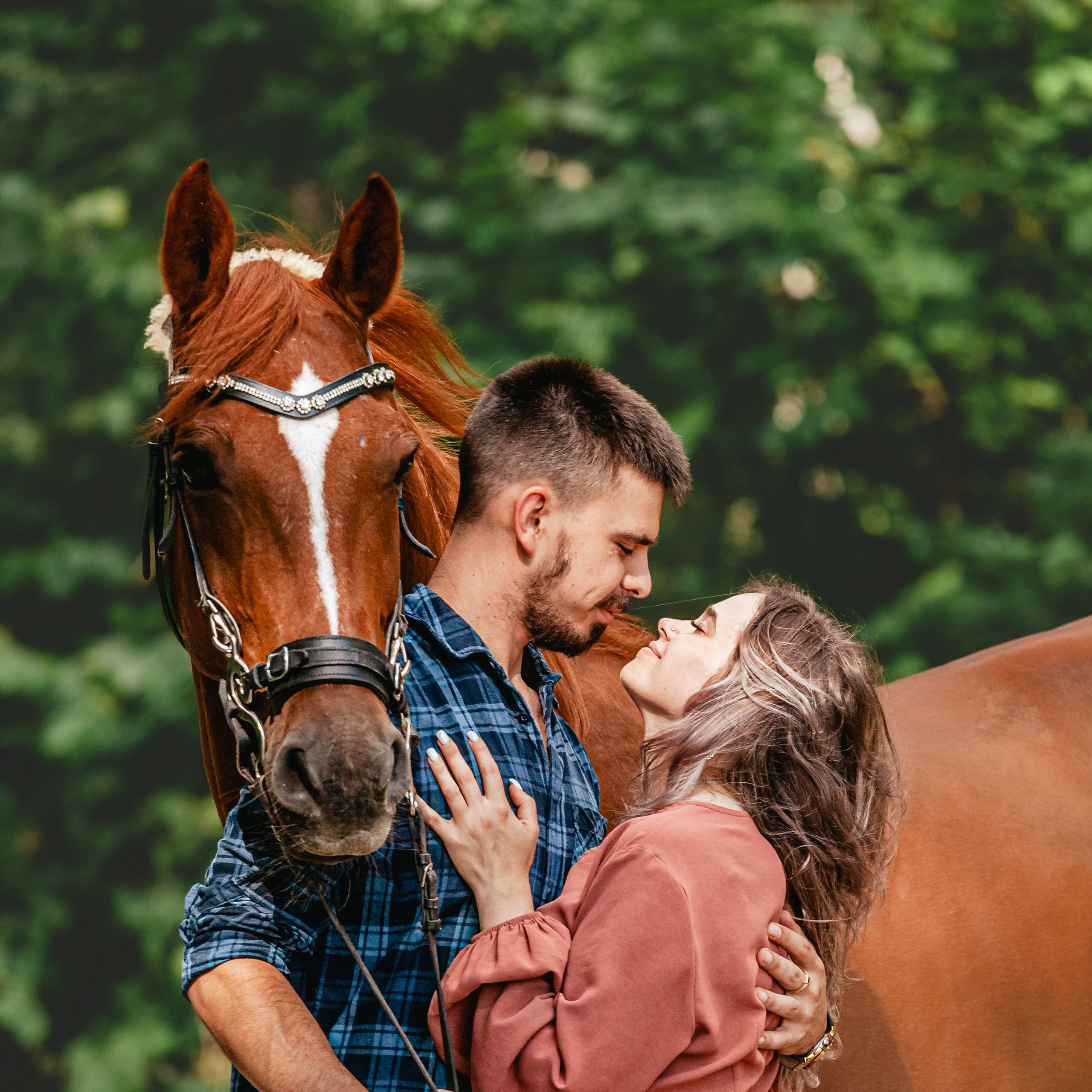 Экспресс фотопрогулка на конюшне
