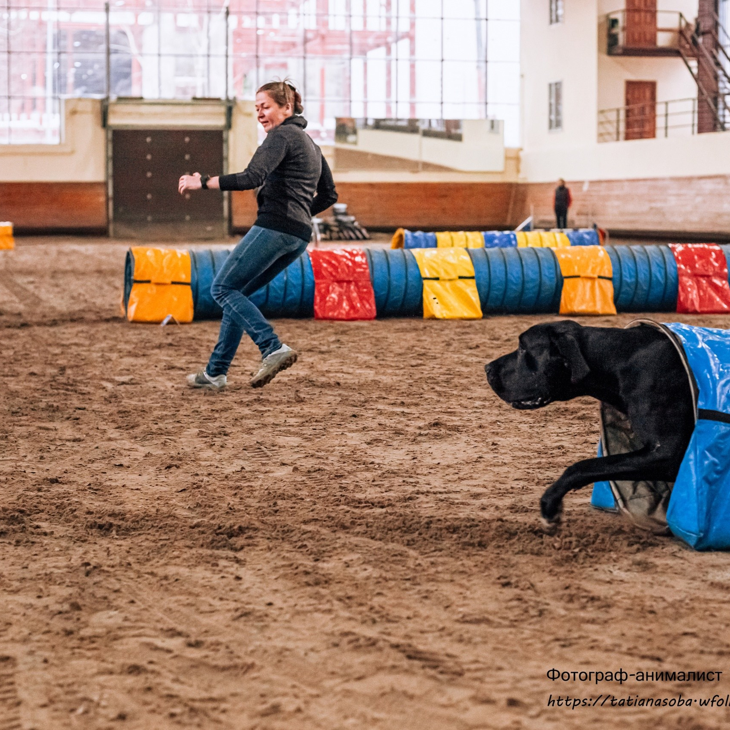 Отзывы. Фотограф-анималист Татьяна Степанова