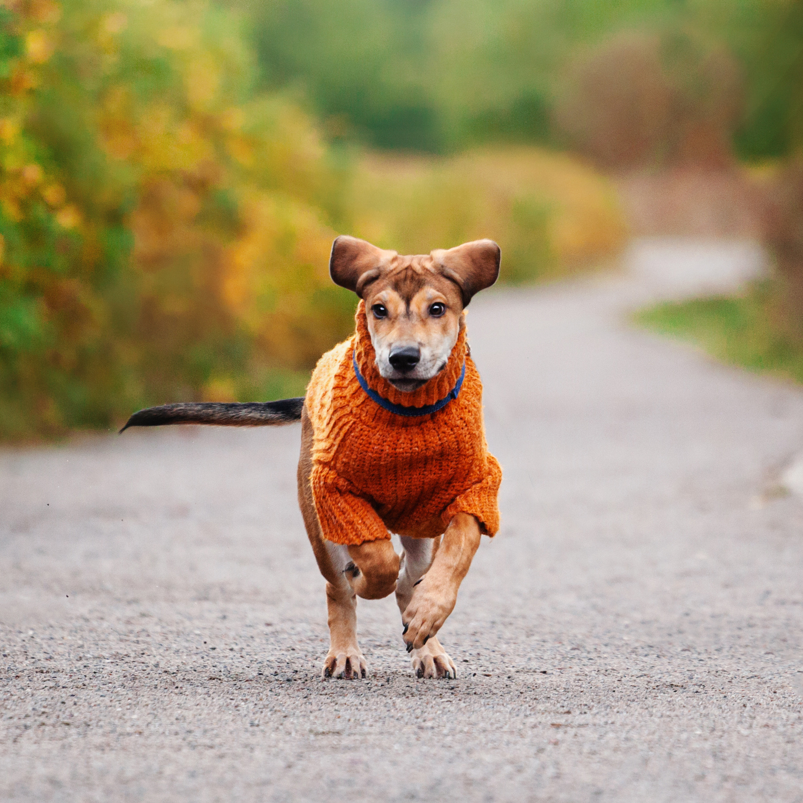 Лукас и&nbsp;Бусинка 2022