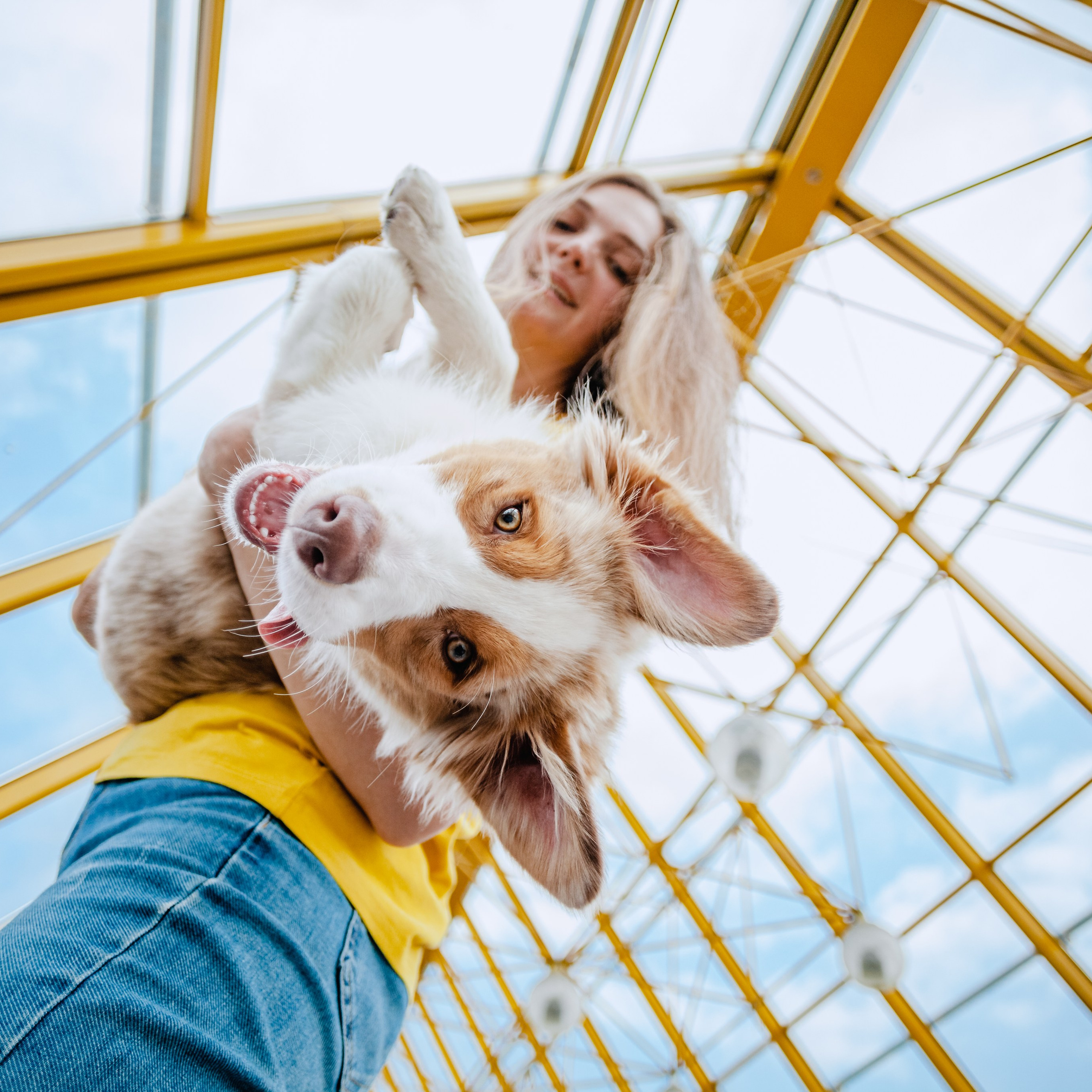 Андреевский мост