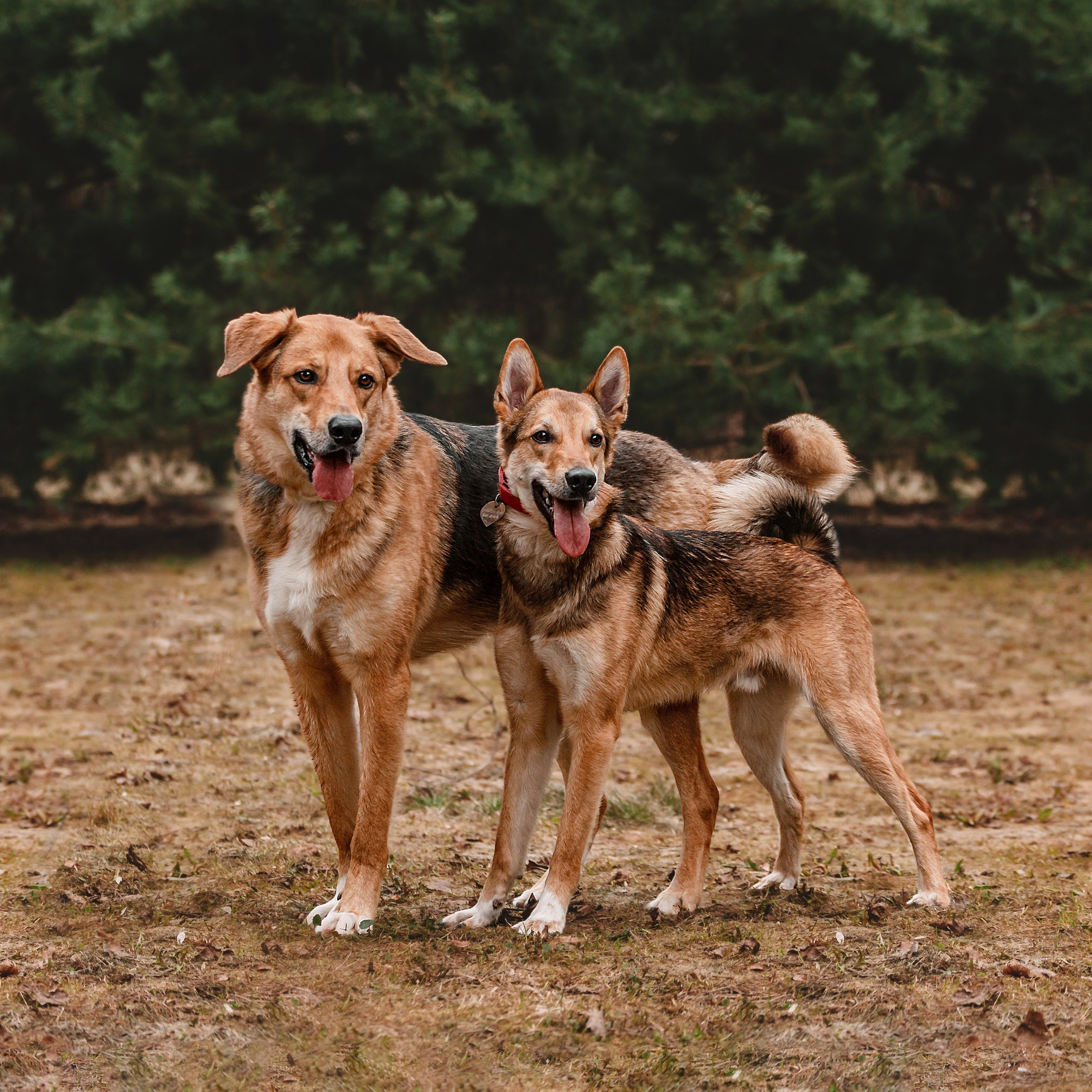 Трэвис и&nbsp;Валли 2024