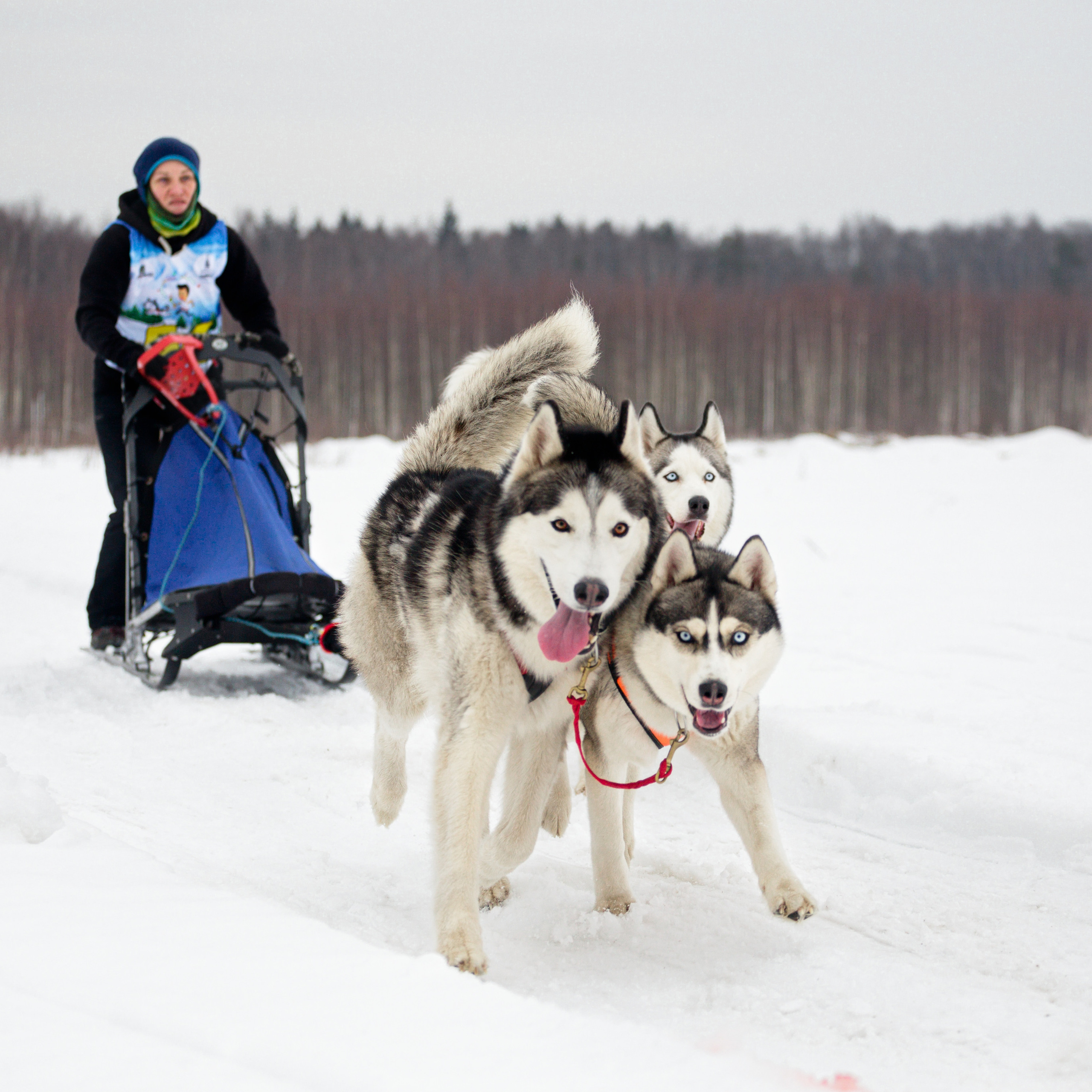 Холодные игры 28 февраля 2022