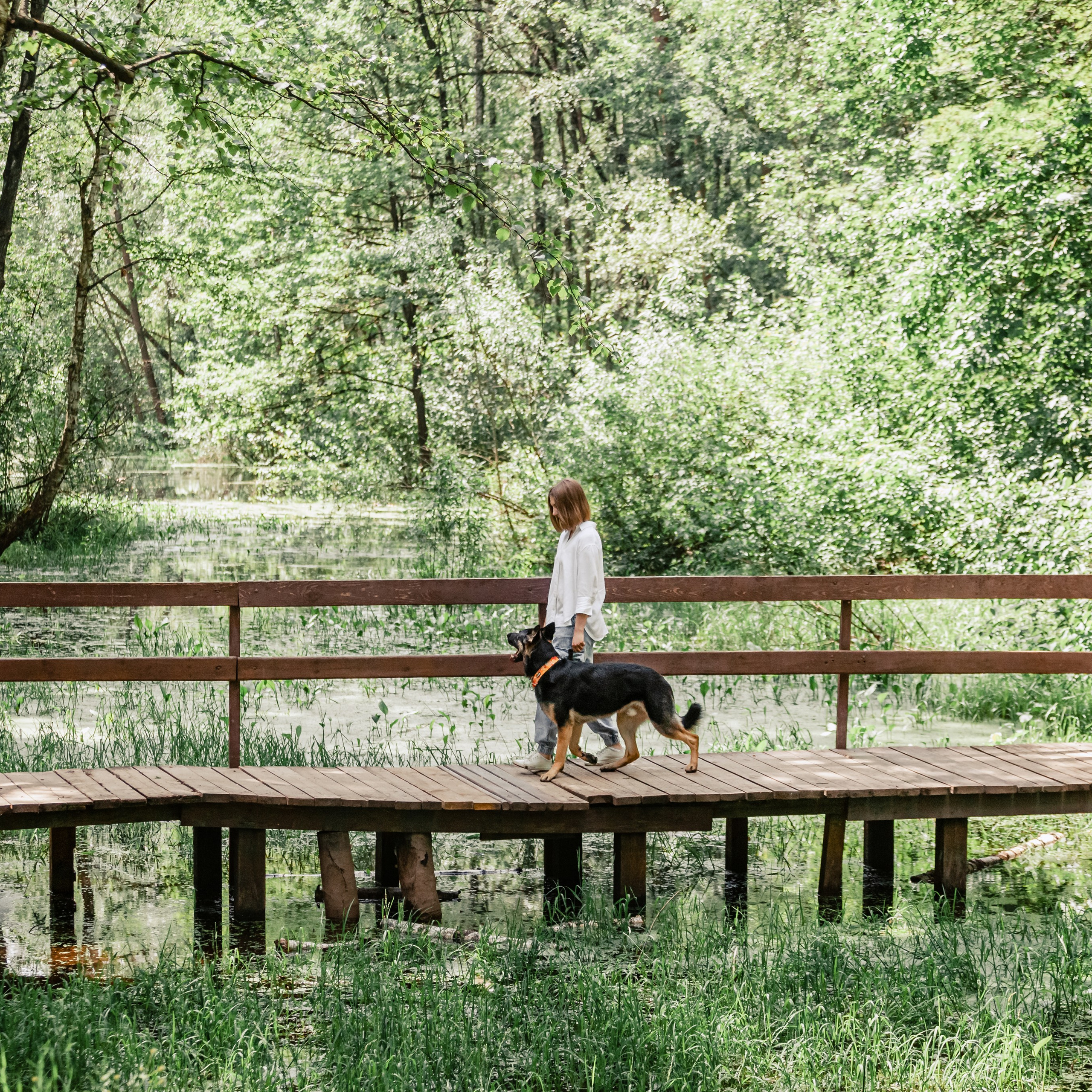 Лесная летняя фотопрогулка