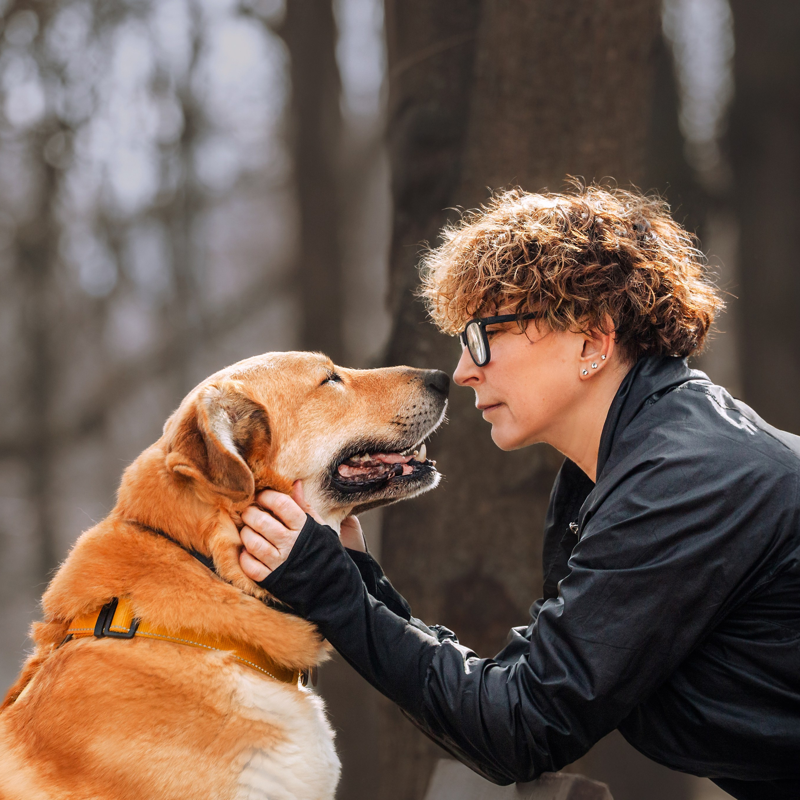 Собаки из&nbsp;приюта Дубовая роща весна 2025