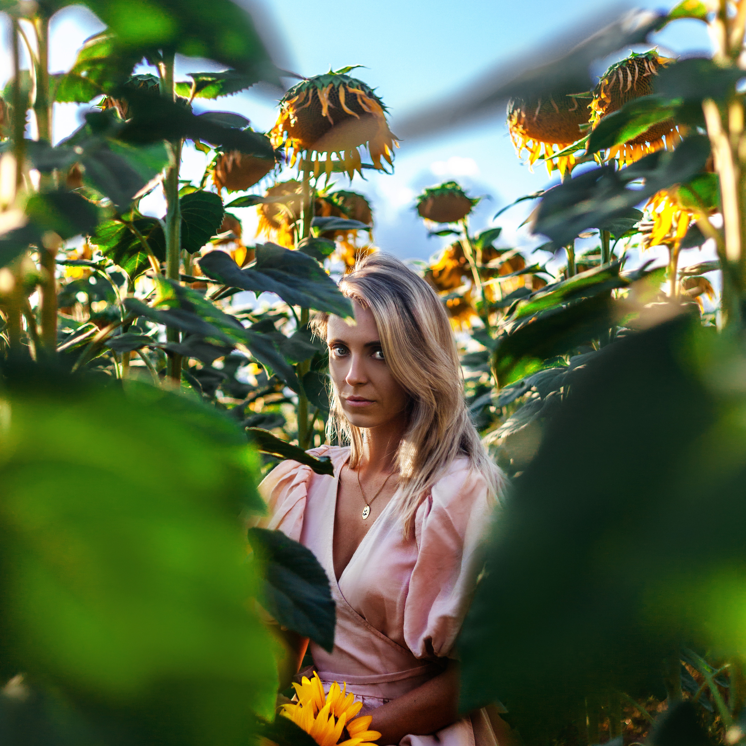 Коломна, стога и подсолнухи