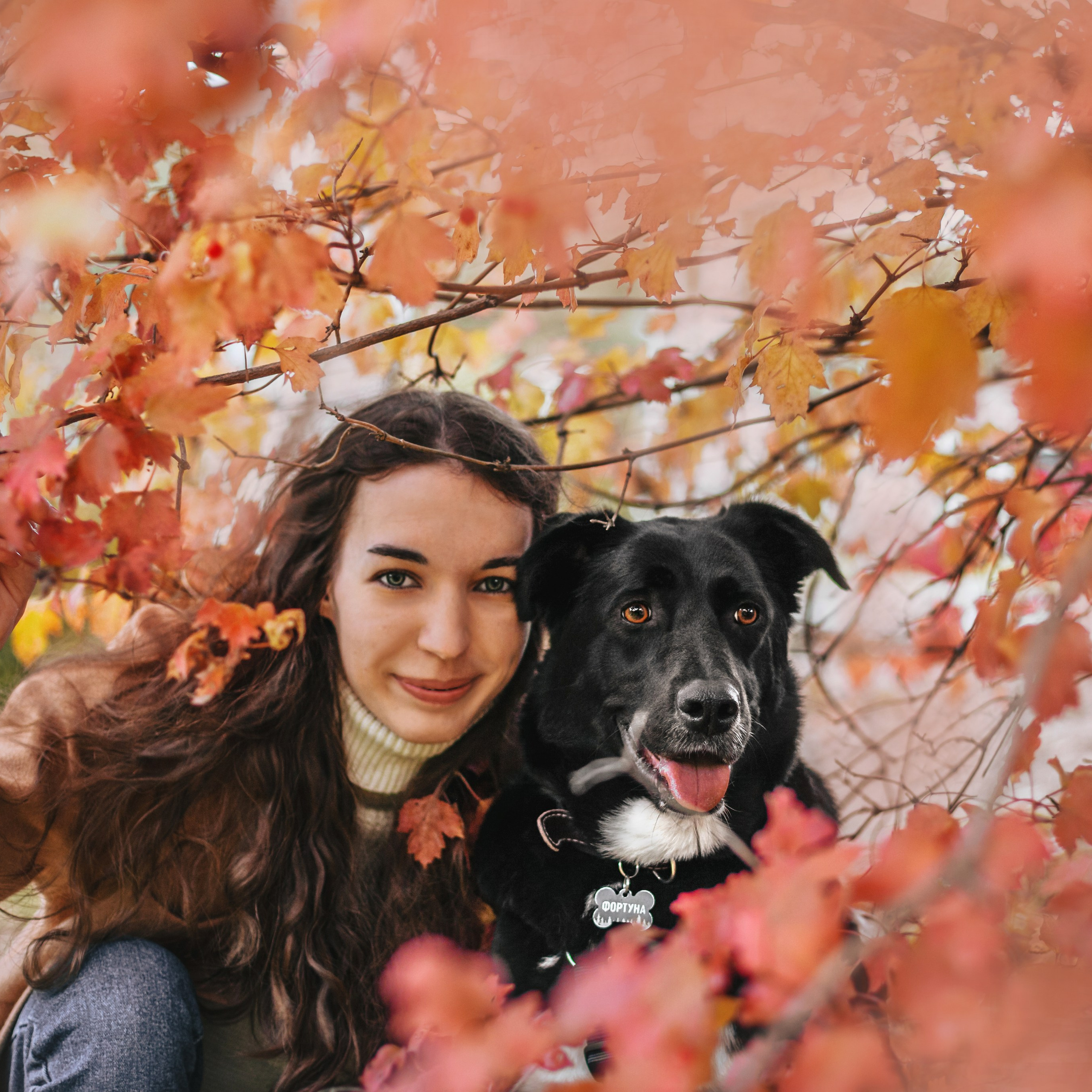 Отзывы. Фотограф-анималист Татьяна Степанова