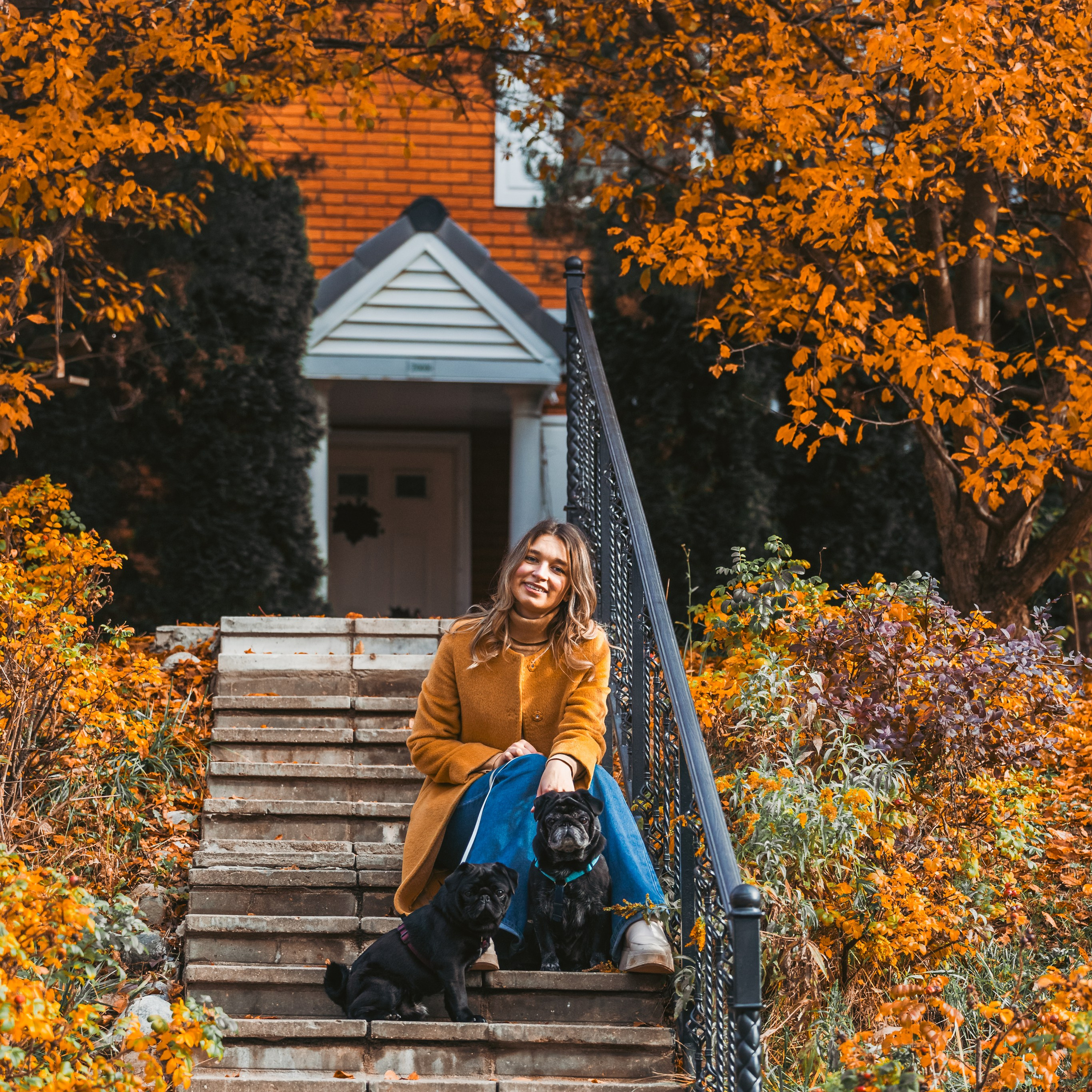 Оля, Харви, Луис