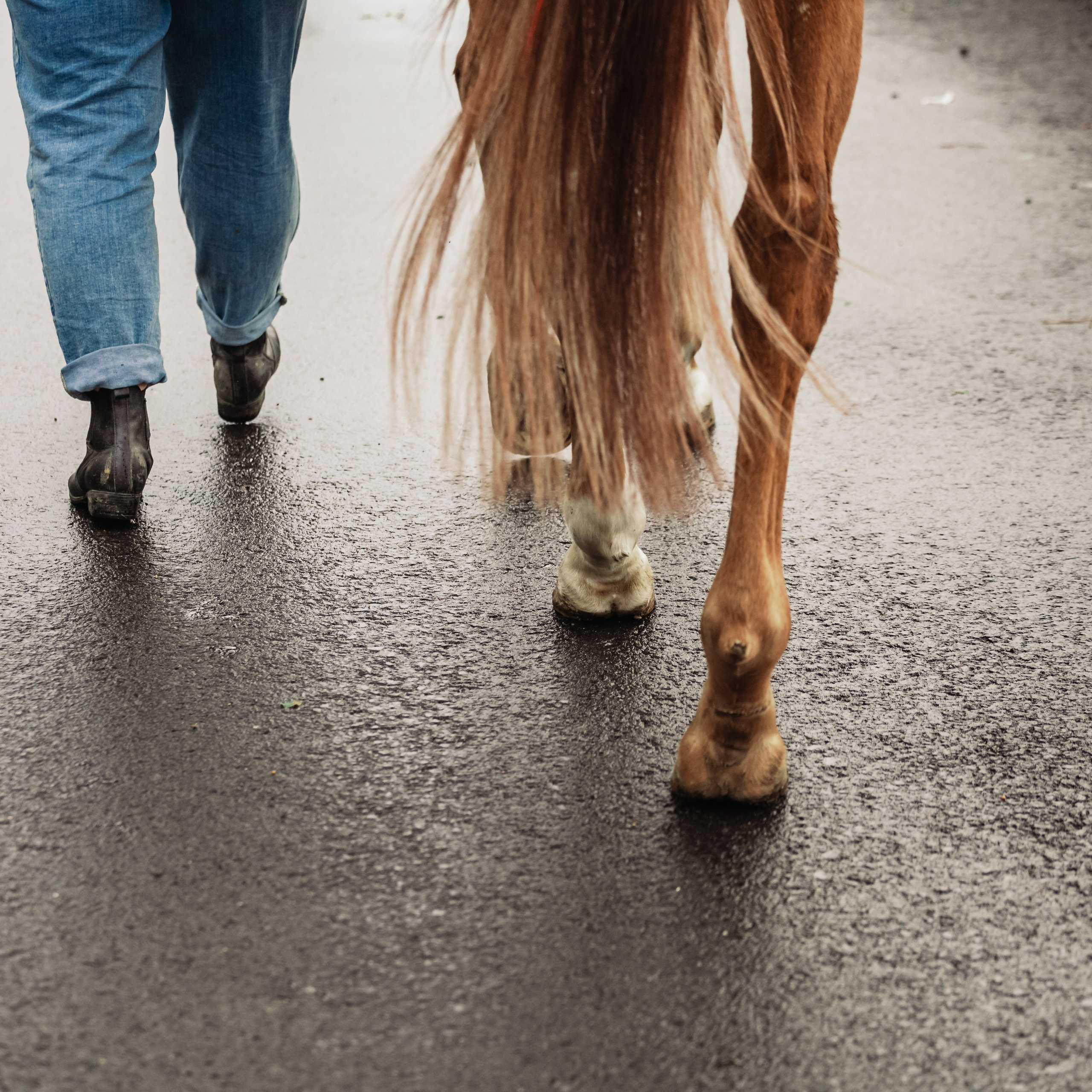 Лена и Рэджи