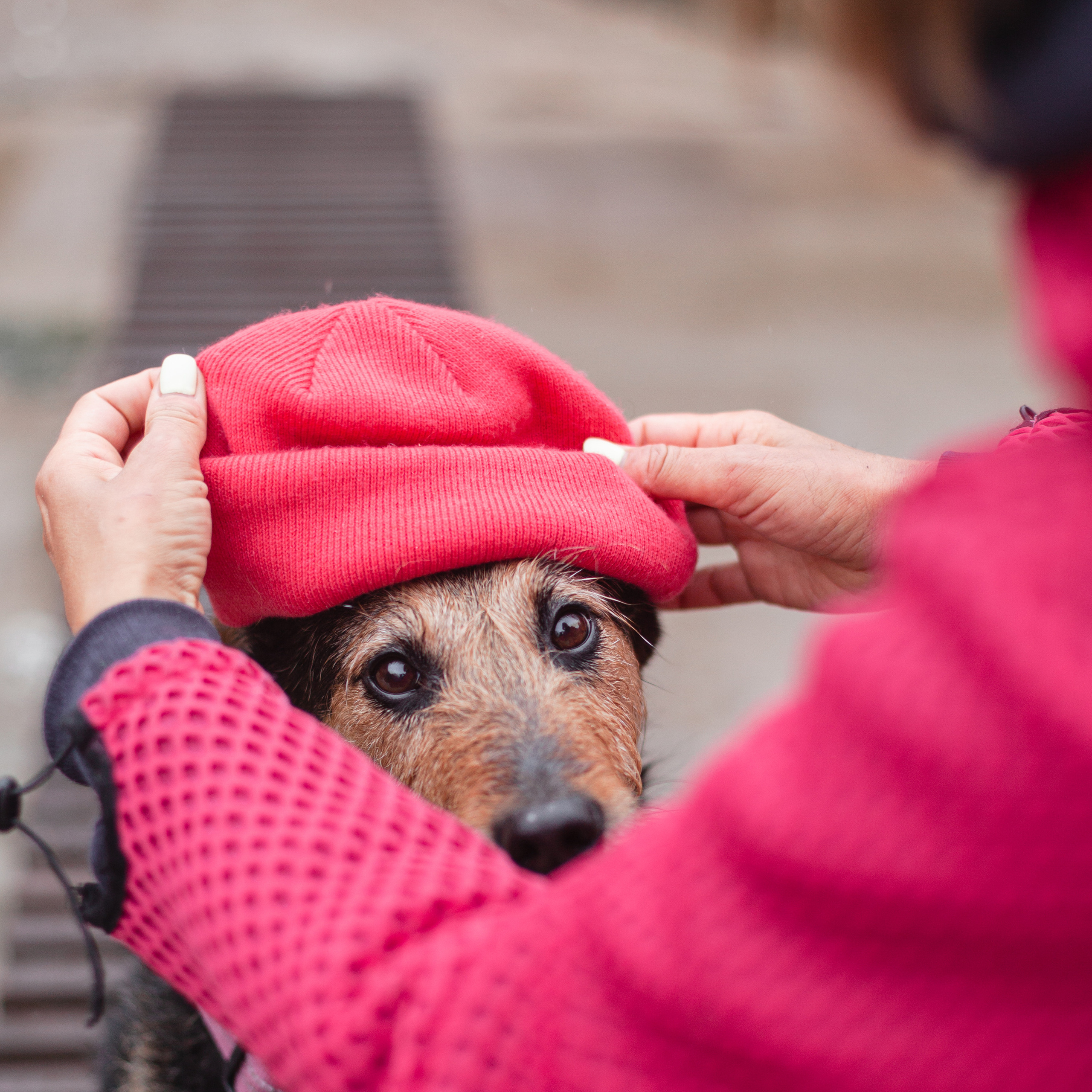 Лиза и Бренда
