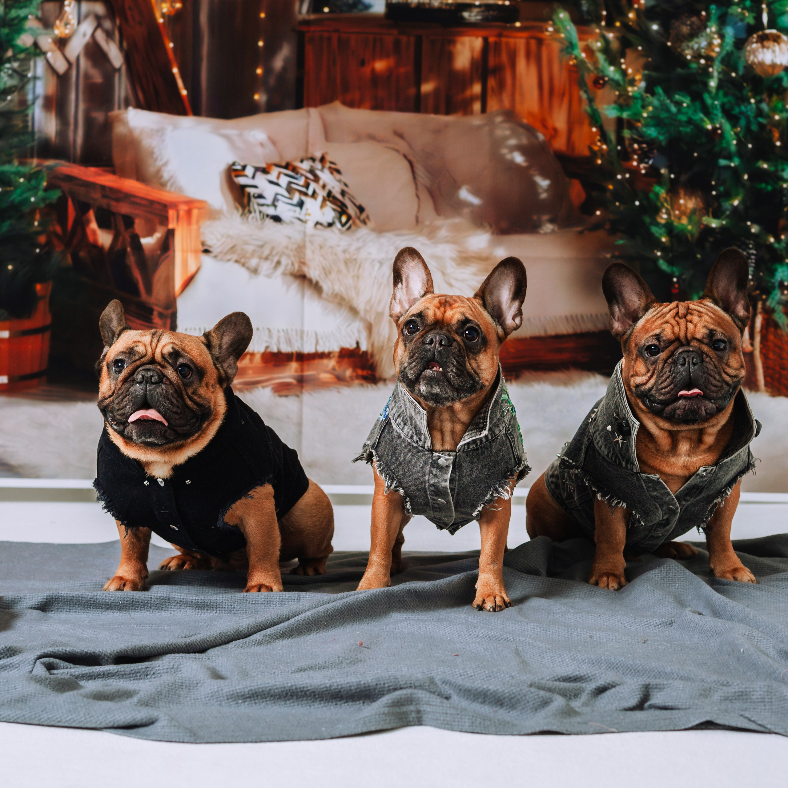 Бульвстреча 2025