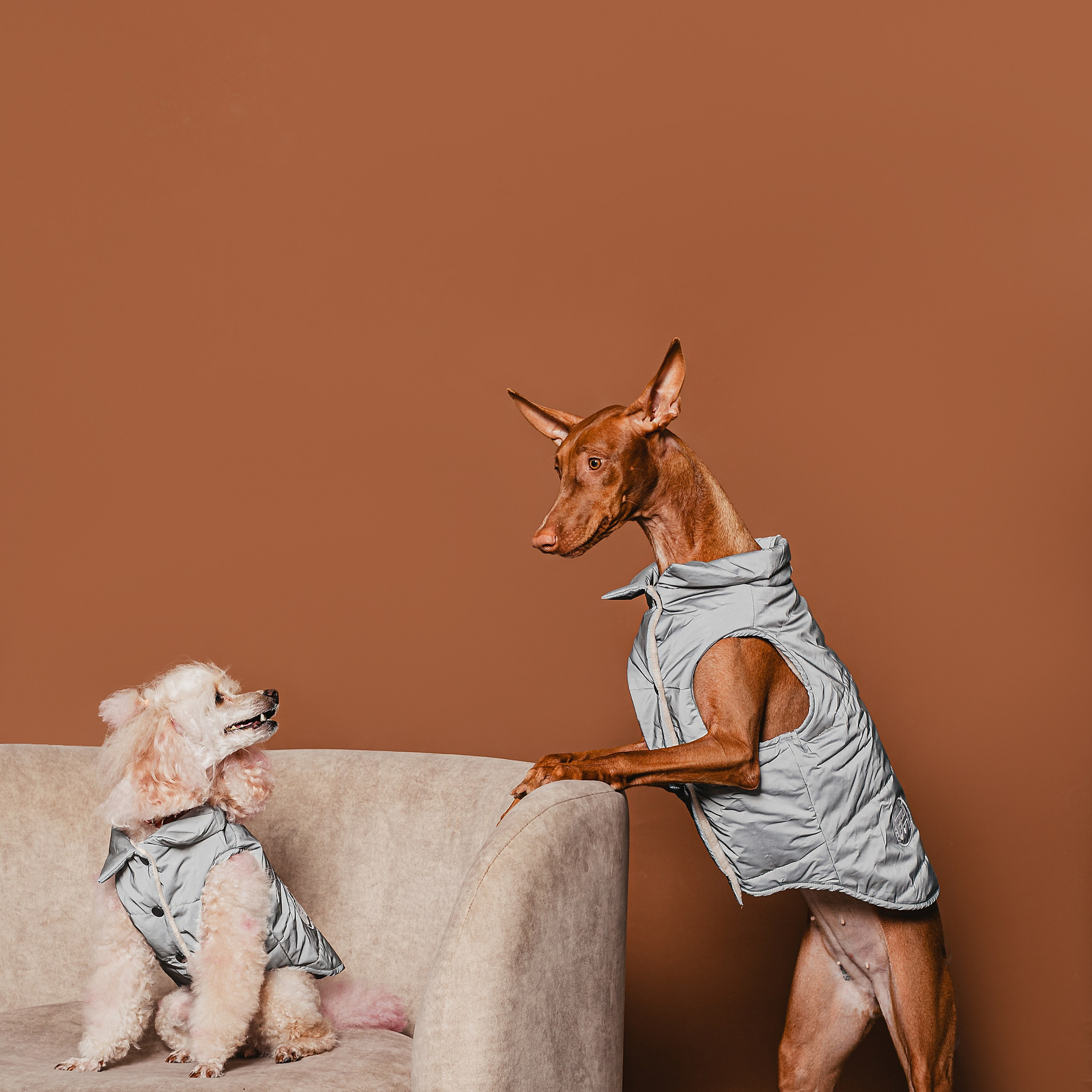 Съемка для бренда TEDDYBOY