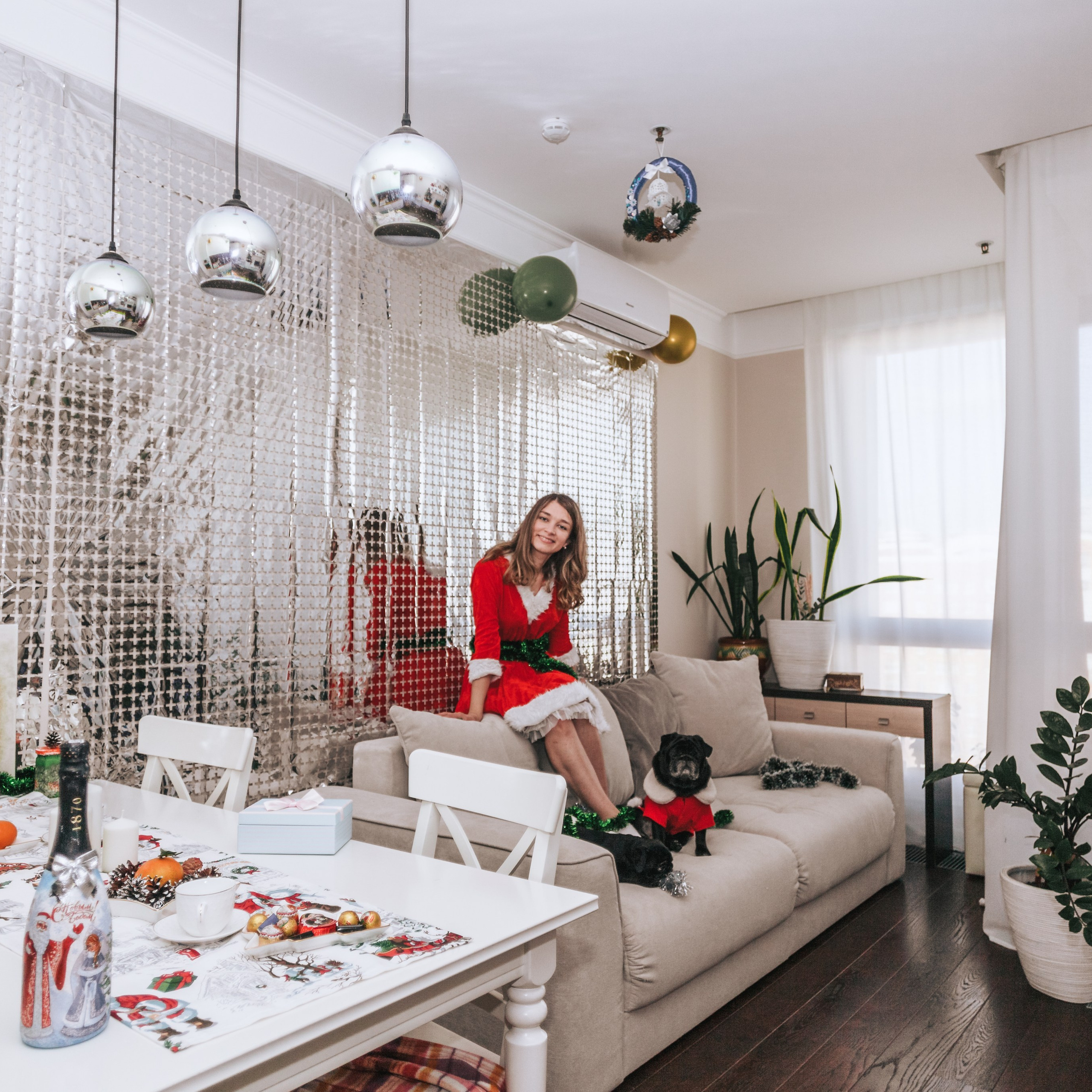 Домашняя фотосессия Оли и двух ее мопсов