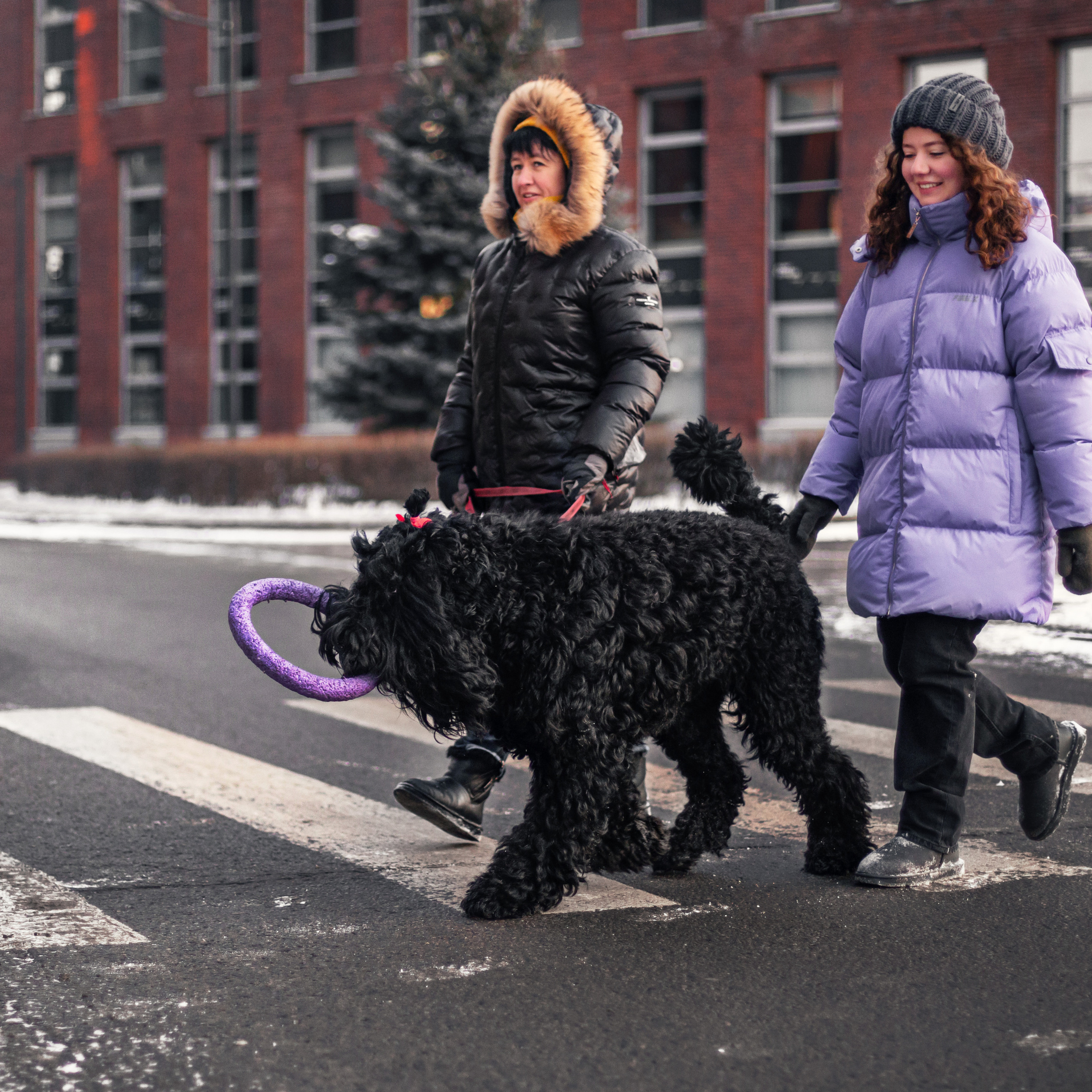 Фотопрогулка завод Арма