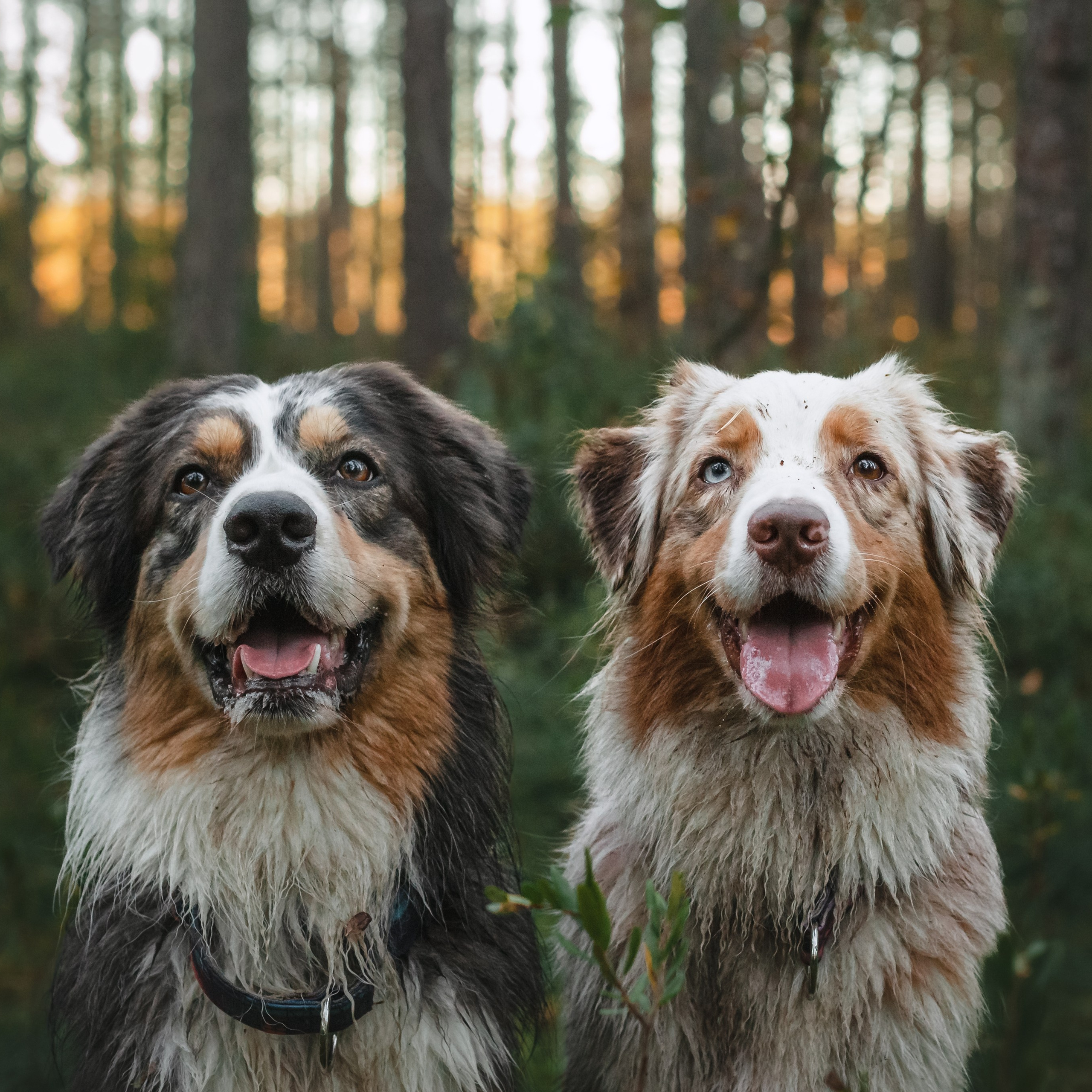 Фотопрогулка в Ленобласти