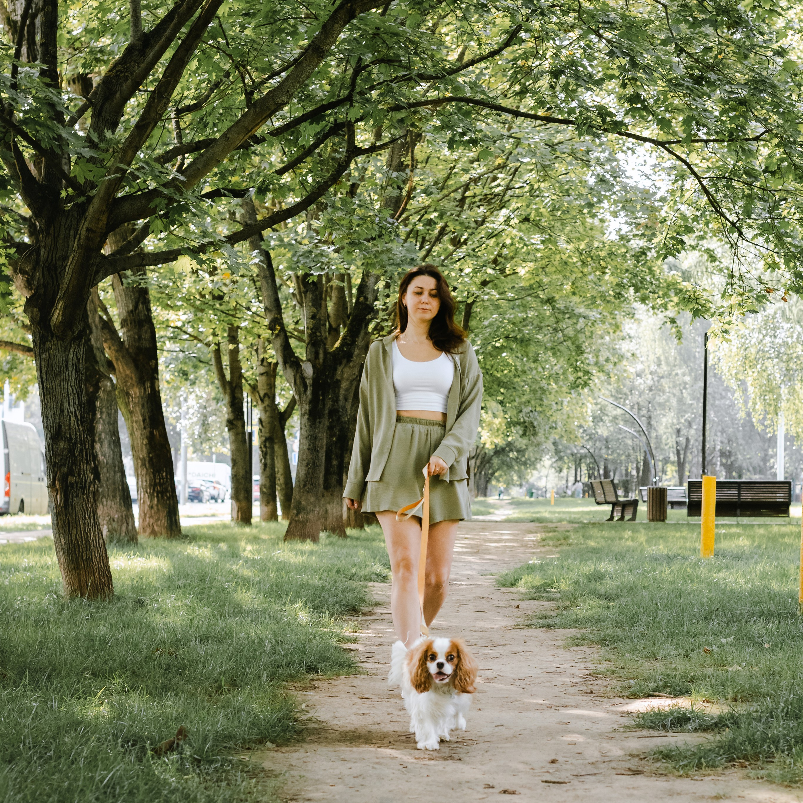 Фотопрогулка на бульваре