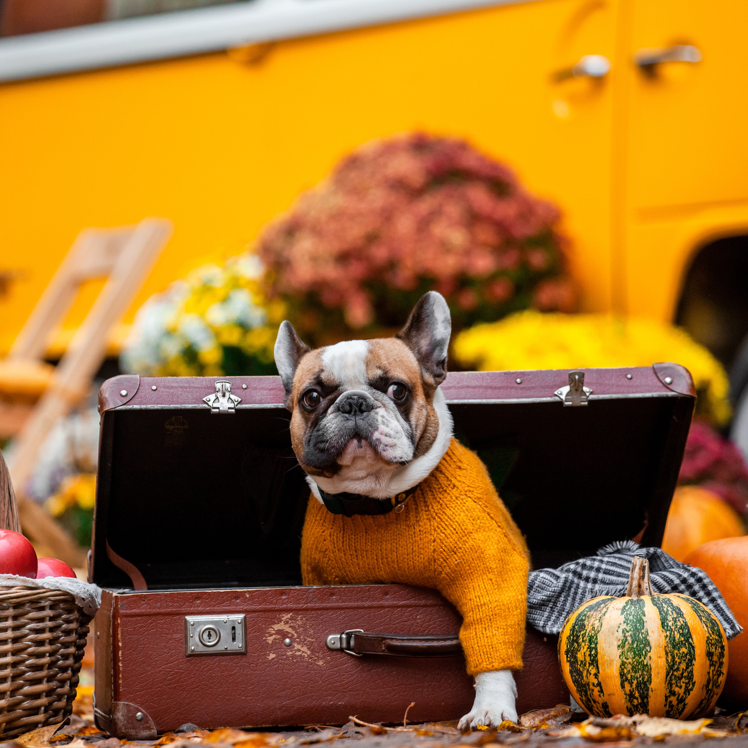 Съемка с ретро автобусом