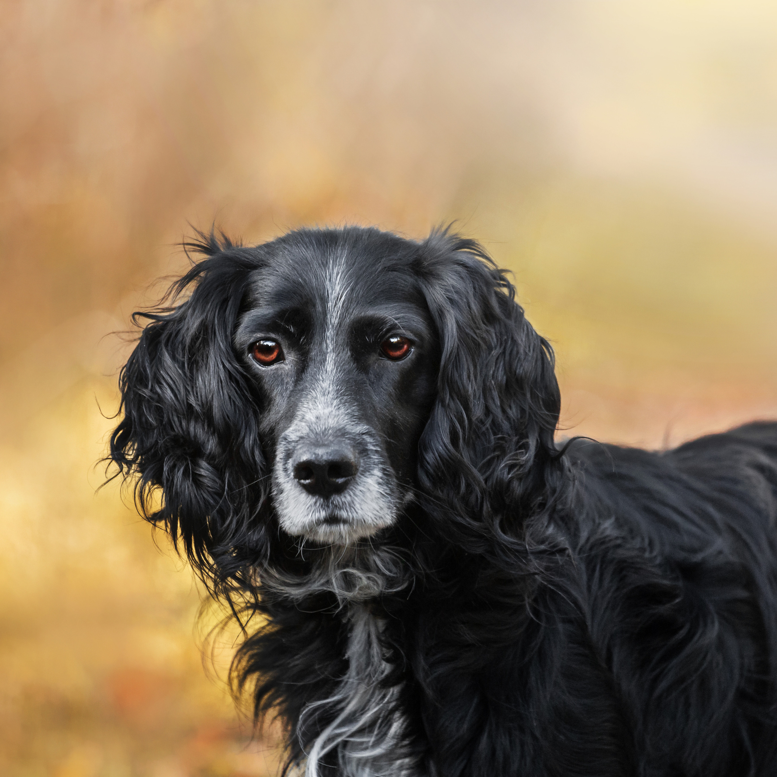 Барон и&nbsp;Лара 2022