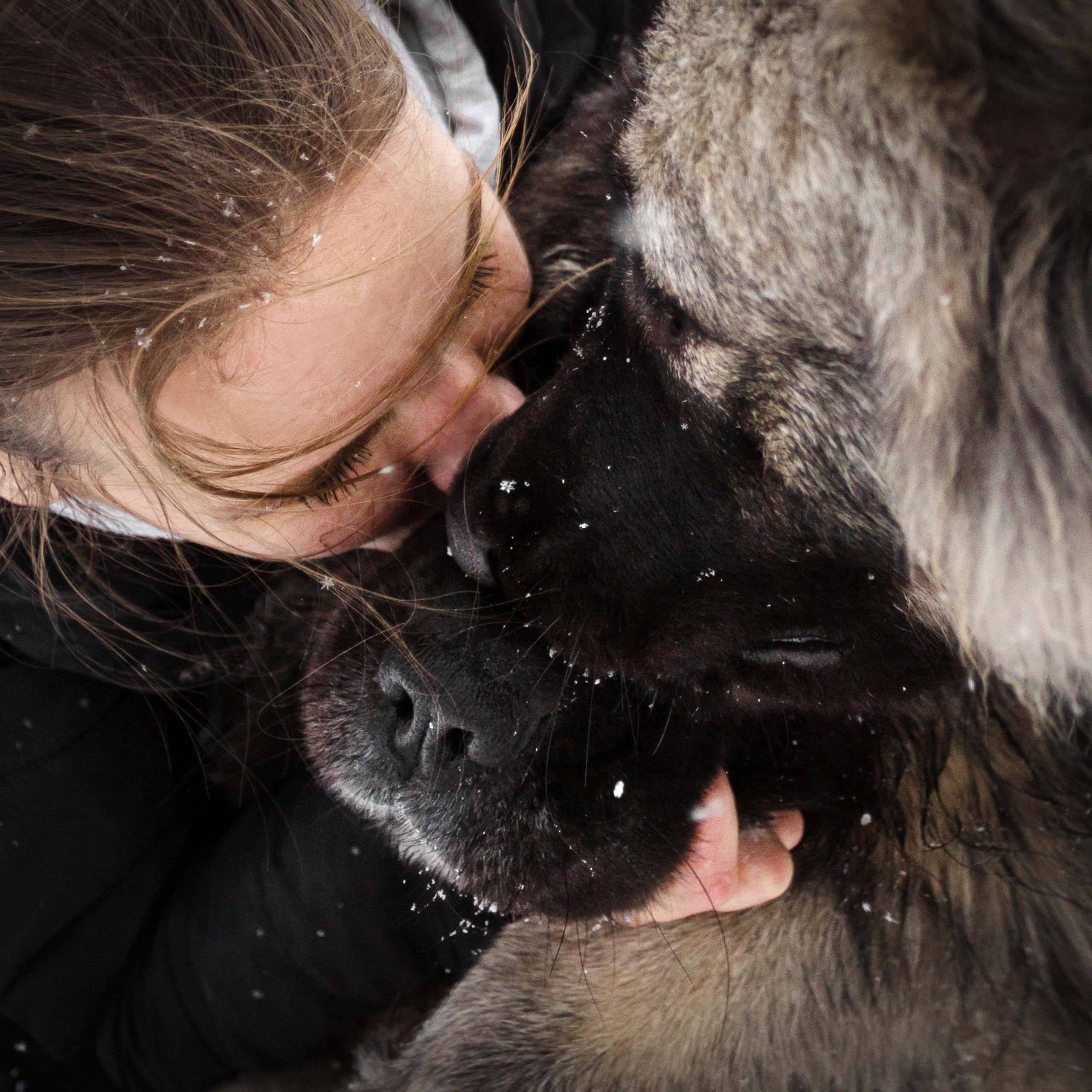 Отзывы. Фотограф-анималист Татьяна Степанова