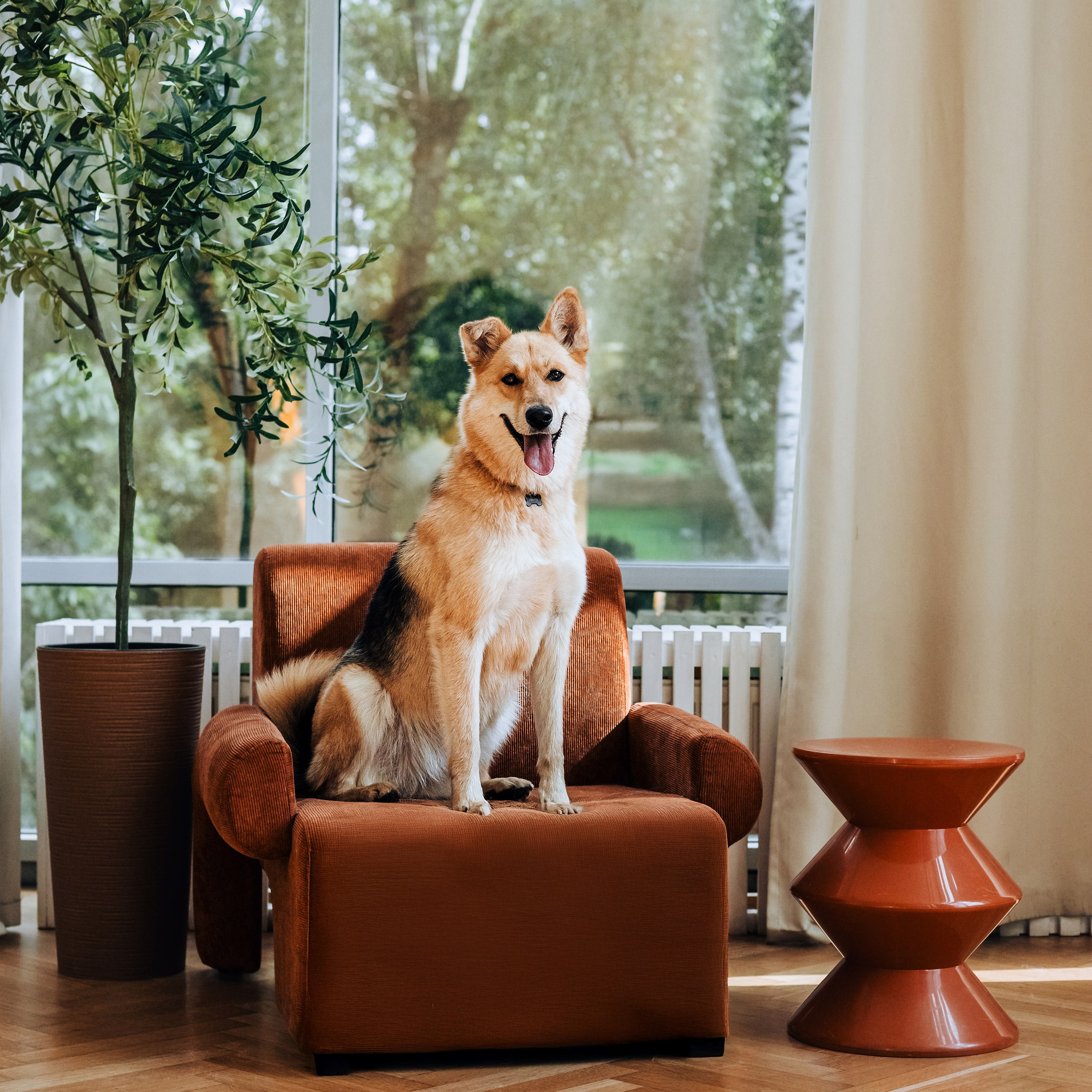 Студия лето 2025