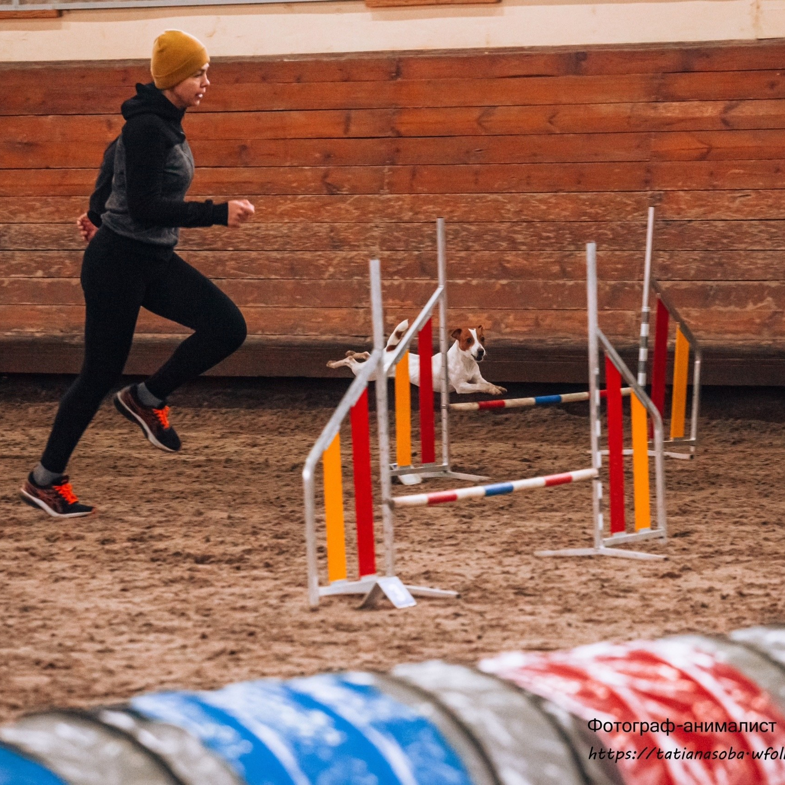 Отзывы. Фотограф-анималист Татьяна Степанова