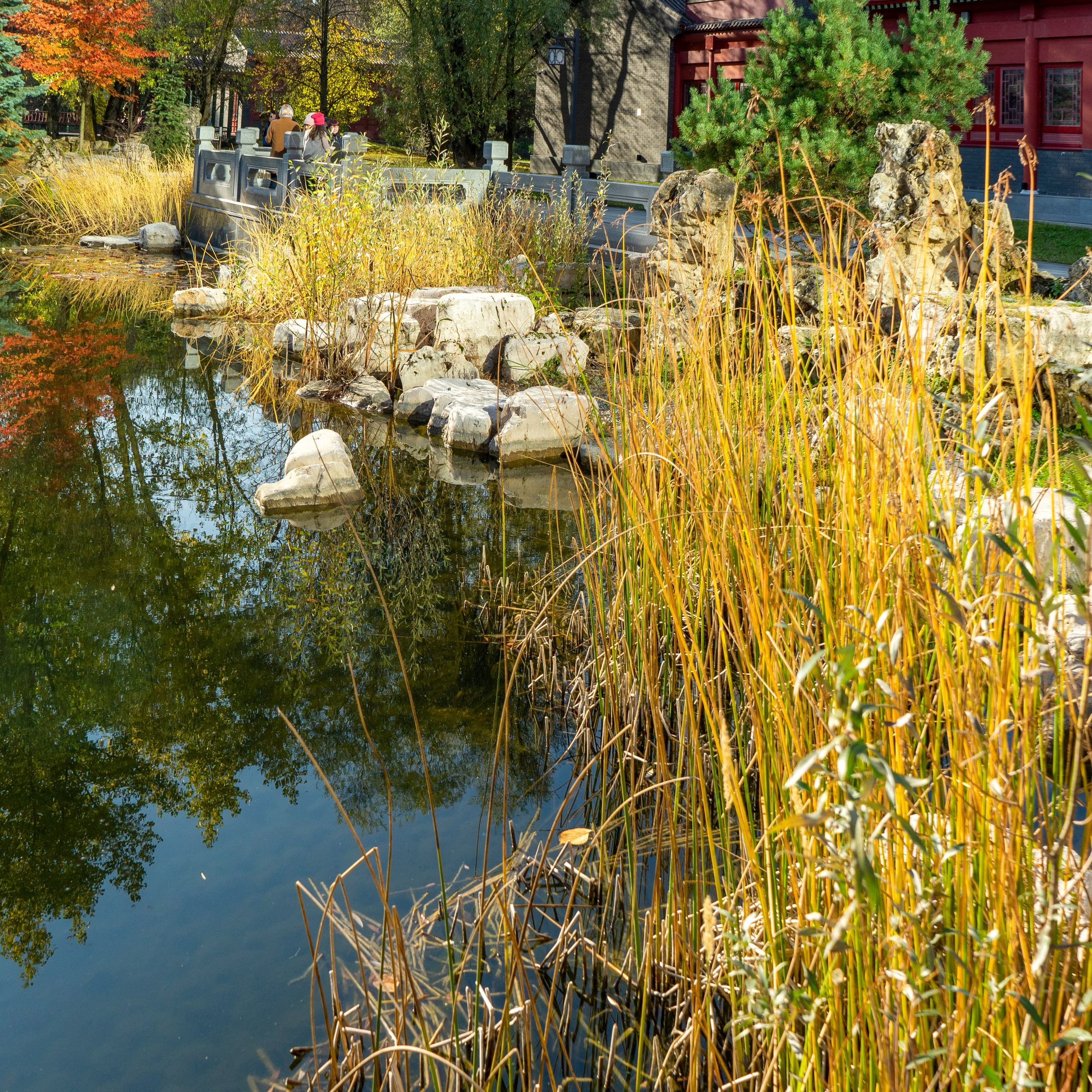 Блог. Авторские фотографии Чугунова Николая