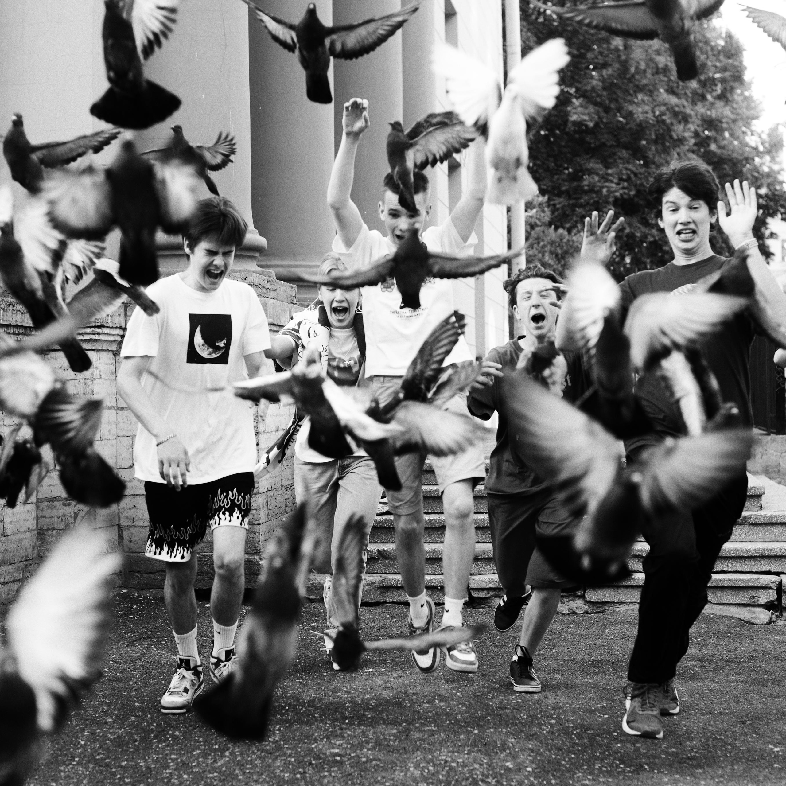 Отзывы. May the numbers guide us