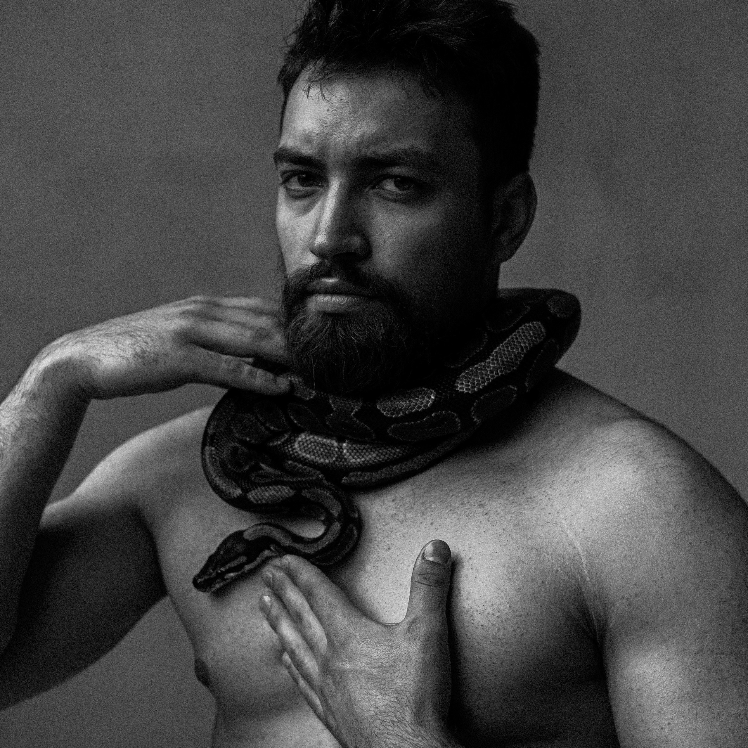 Никита и змея