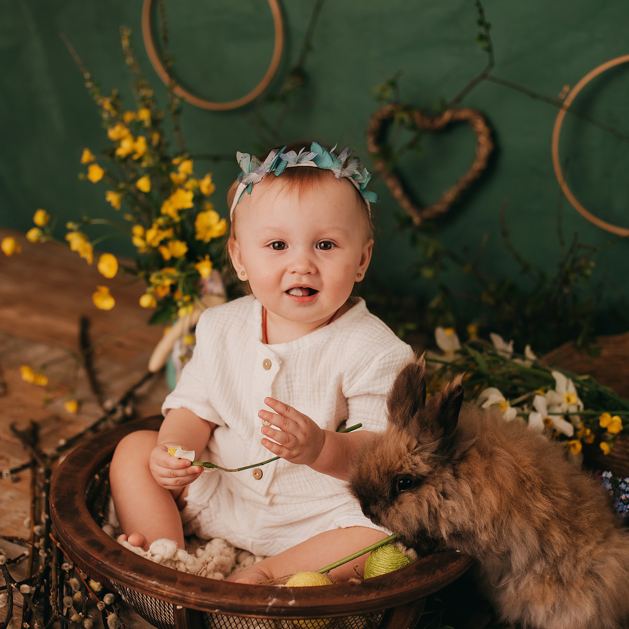 Утята, ежата, крольчата, цыплята