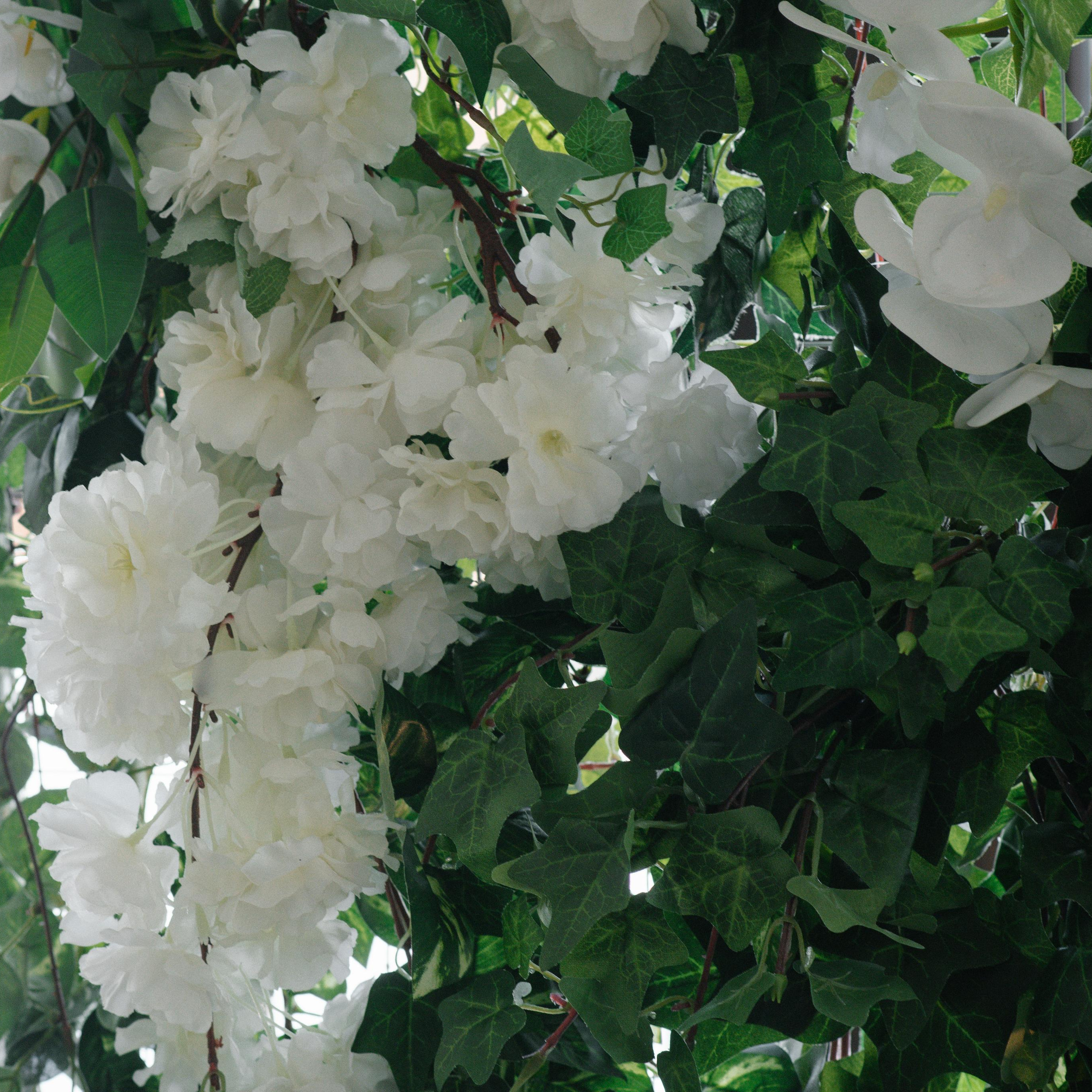 Отзывы. Свадебный фотограф Москва Истра Звенигород Нахабино