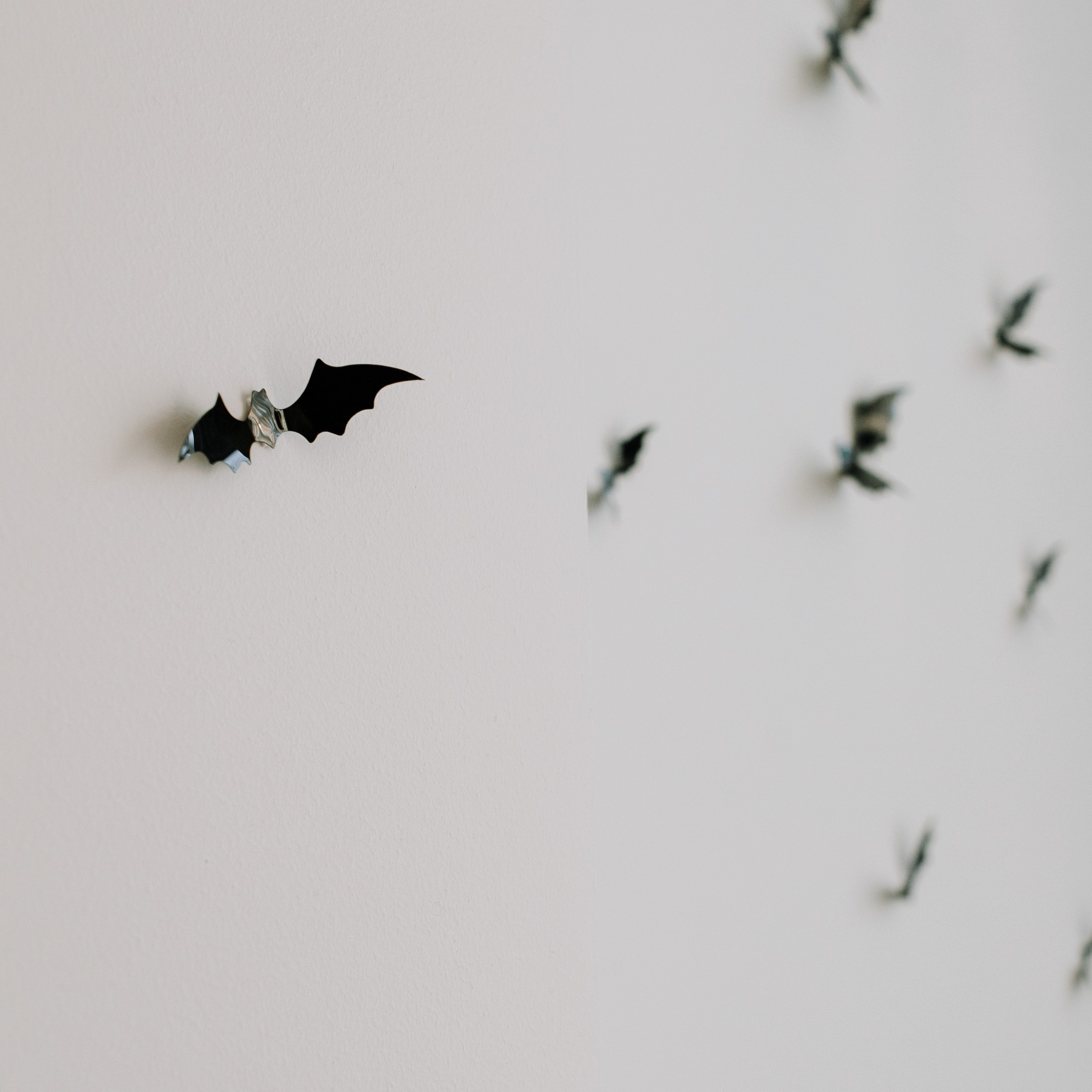 День рождения Соня