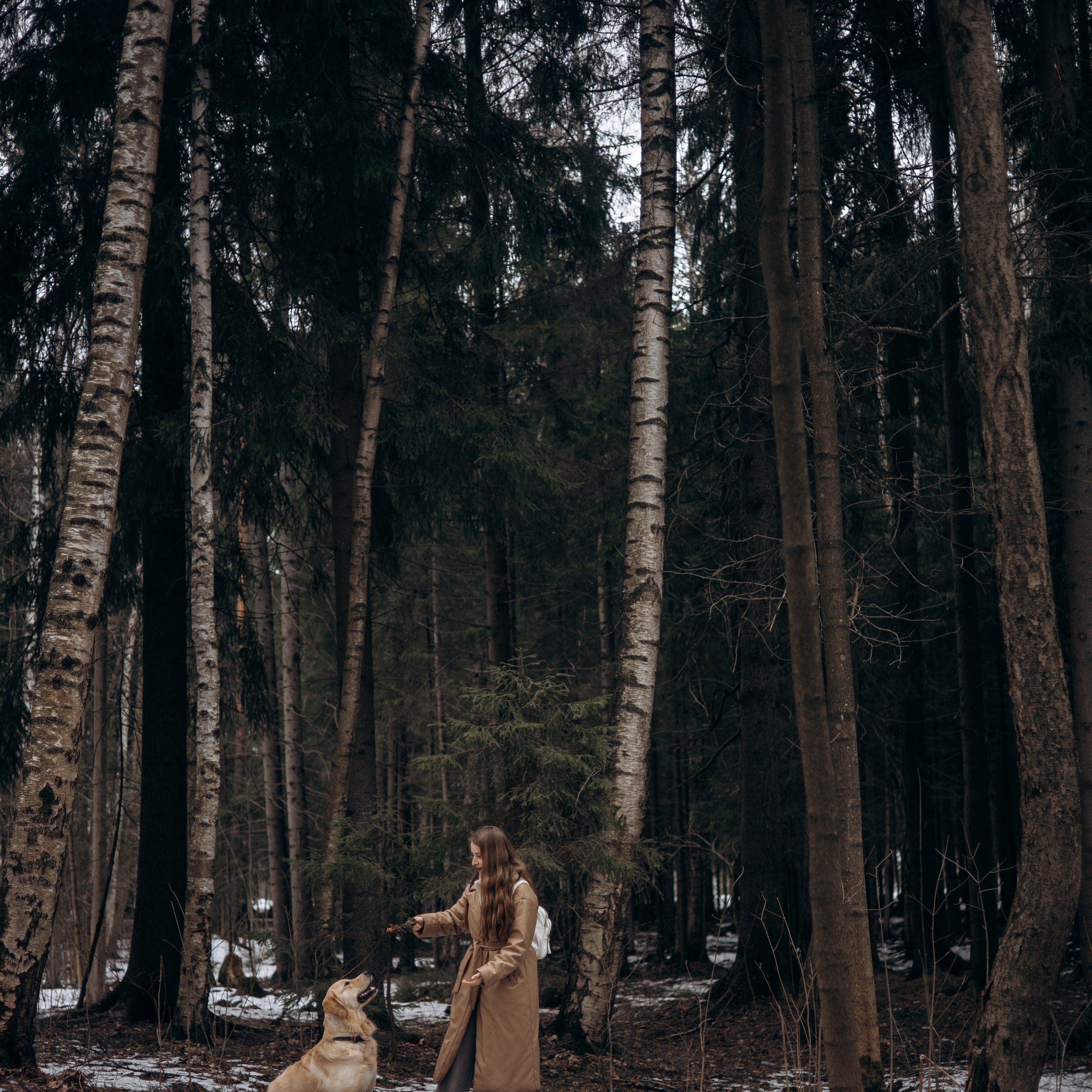 Отзывы. Фотограф животных Евгения Верцинская