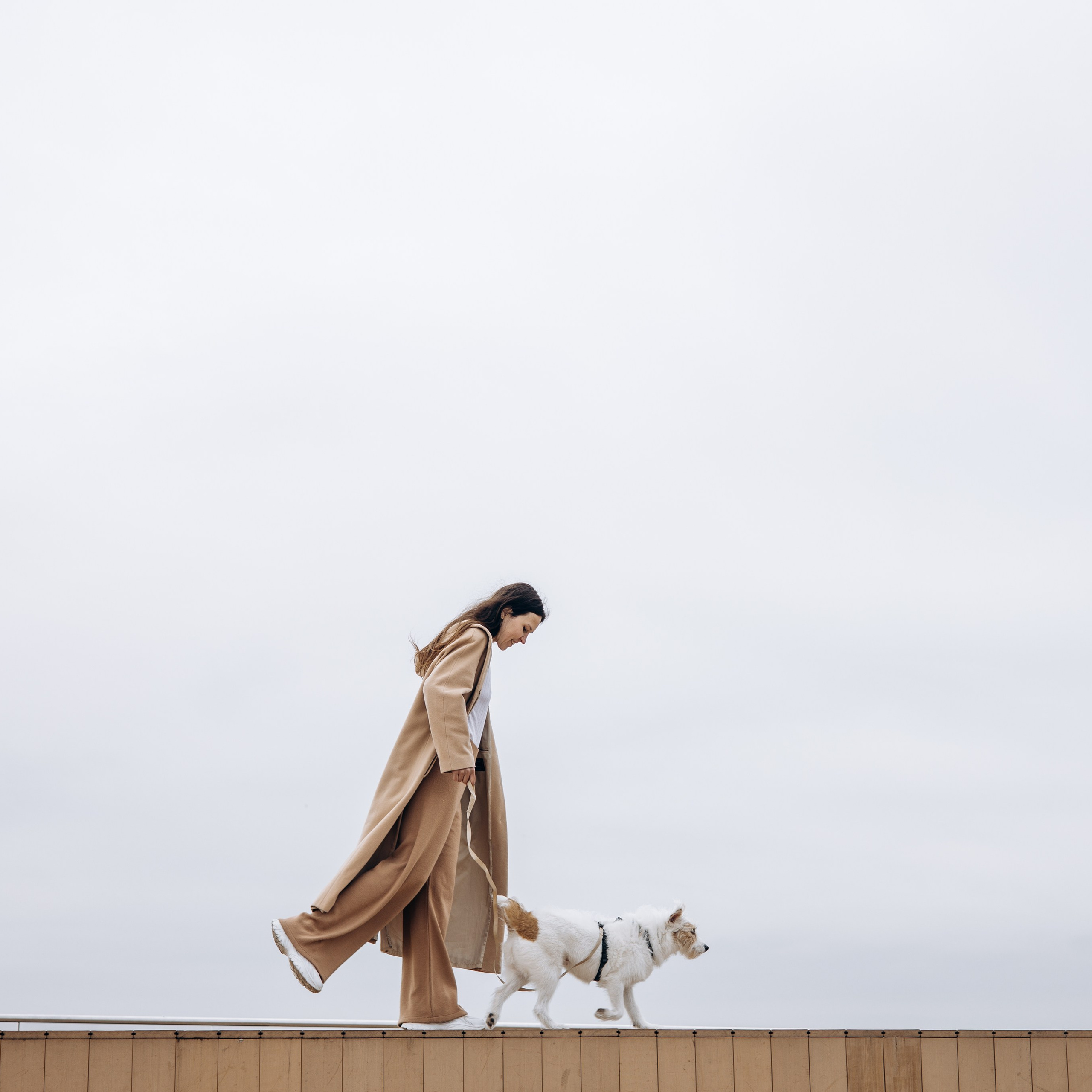 Оля и Тэффи