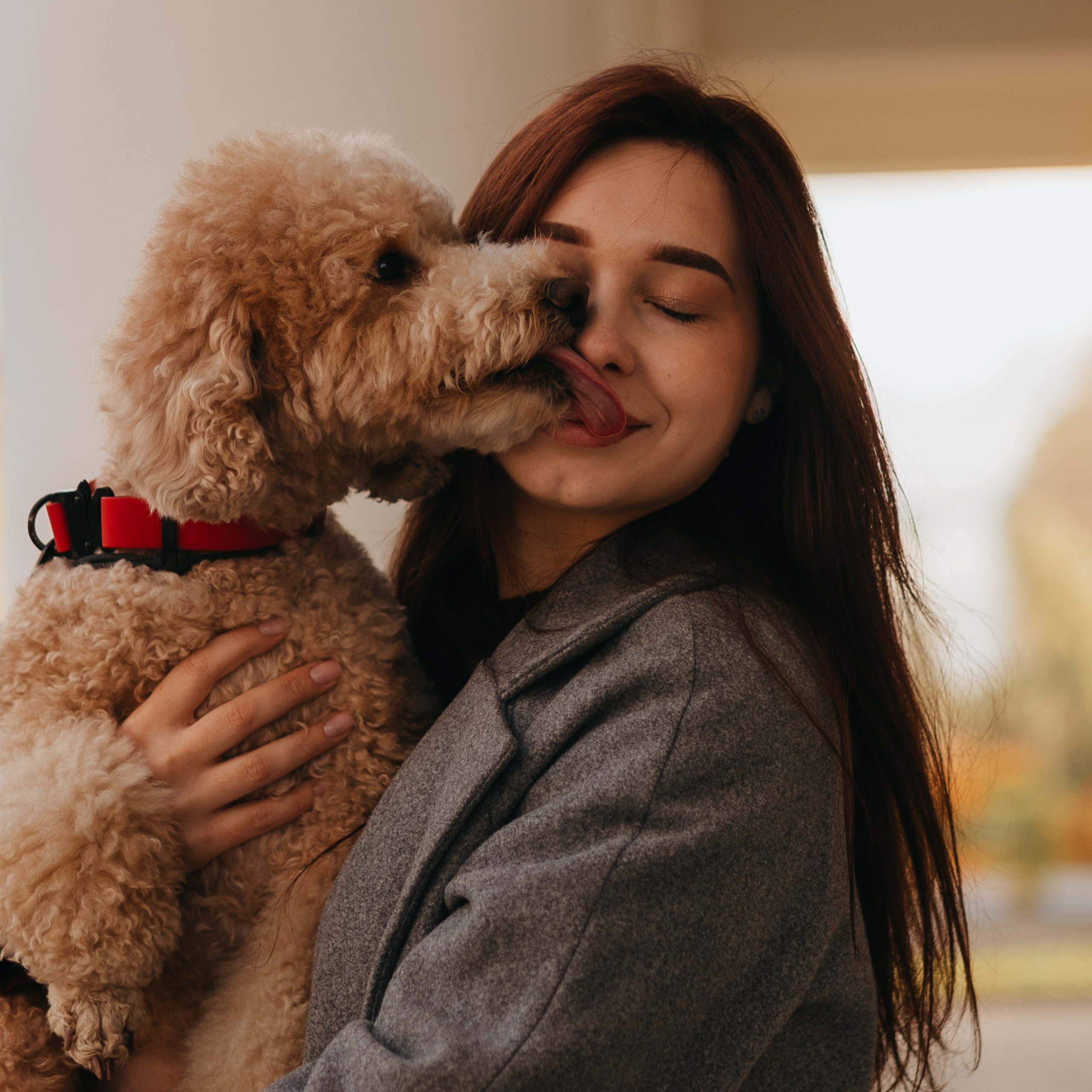 Отзывы. Фотограф животных Евгения Верцинская