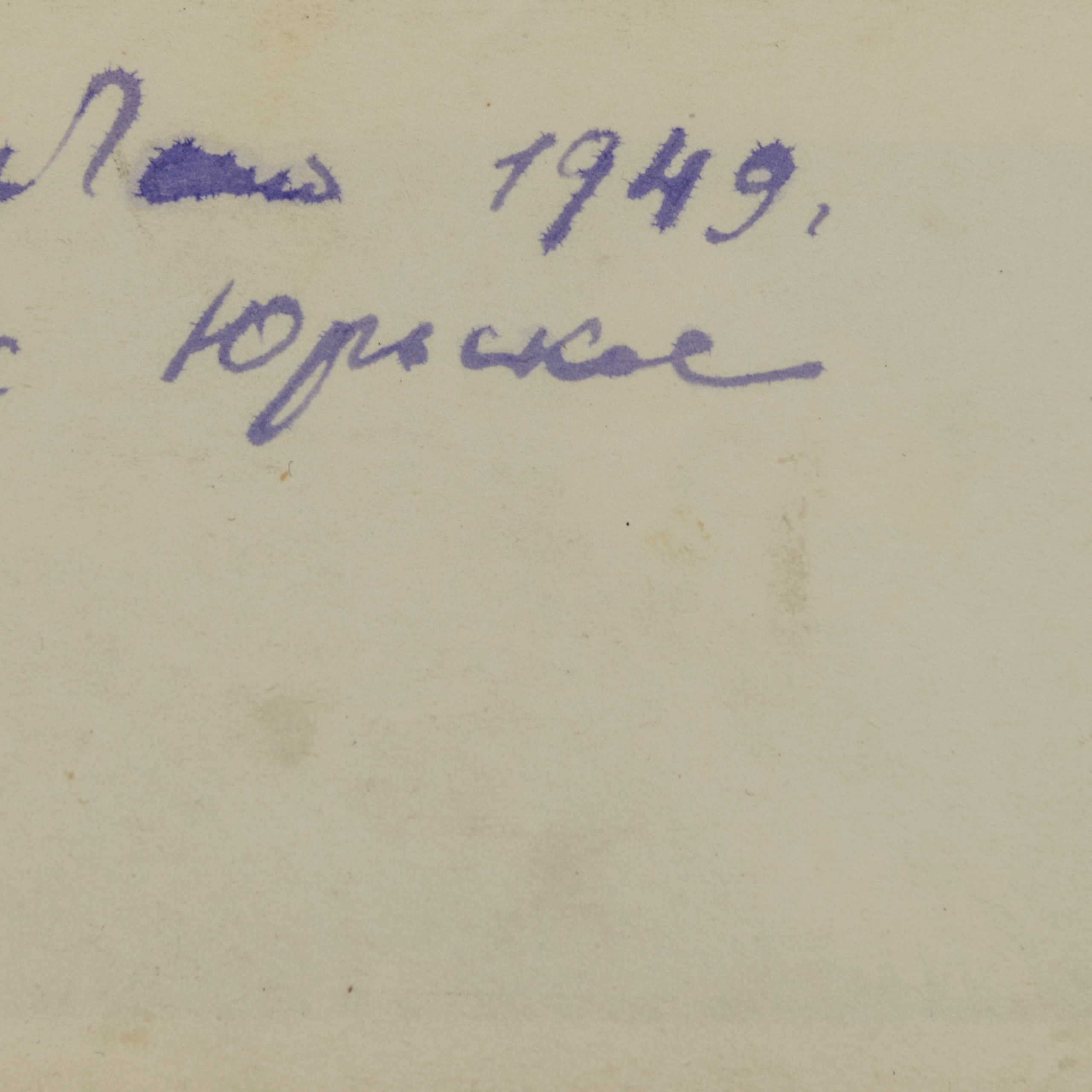 Архивные фотографии с изображением собак.