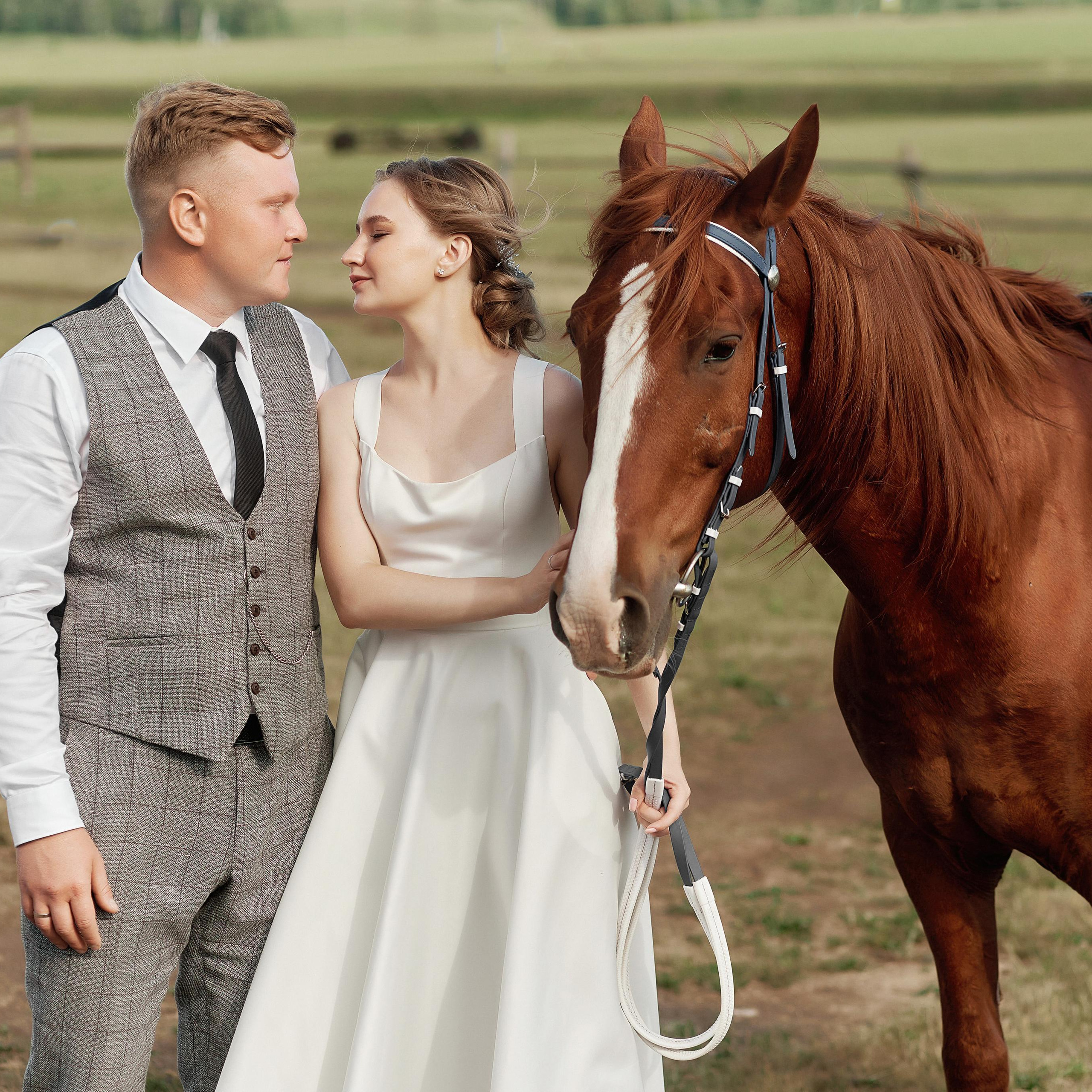 Отзывы. Свадебный фотограф  Казань Альметьевск Айдар Гарайшин