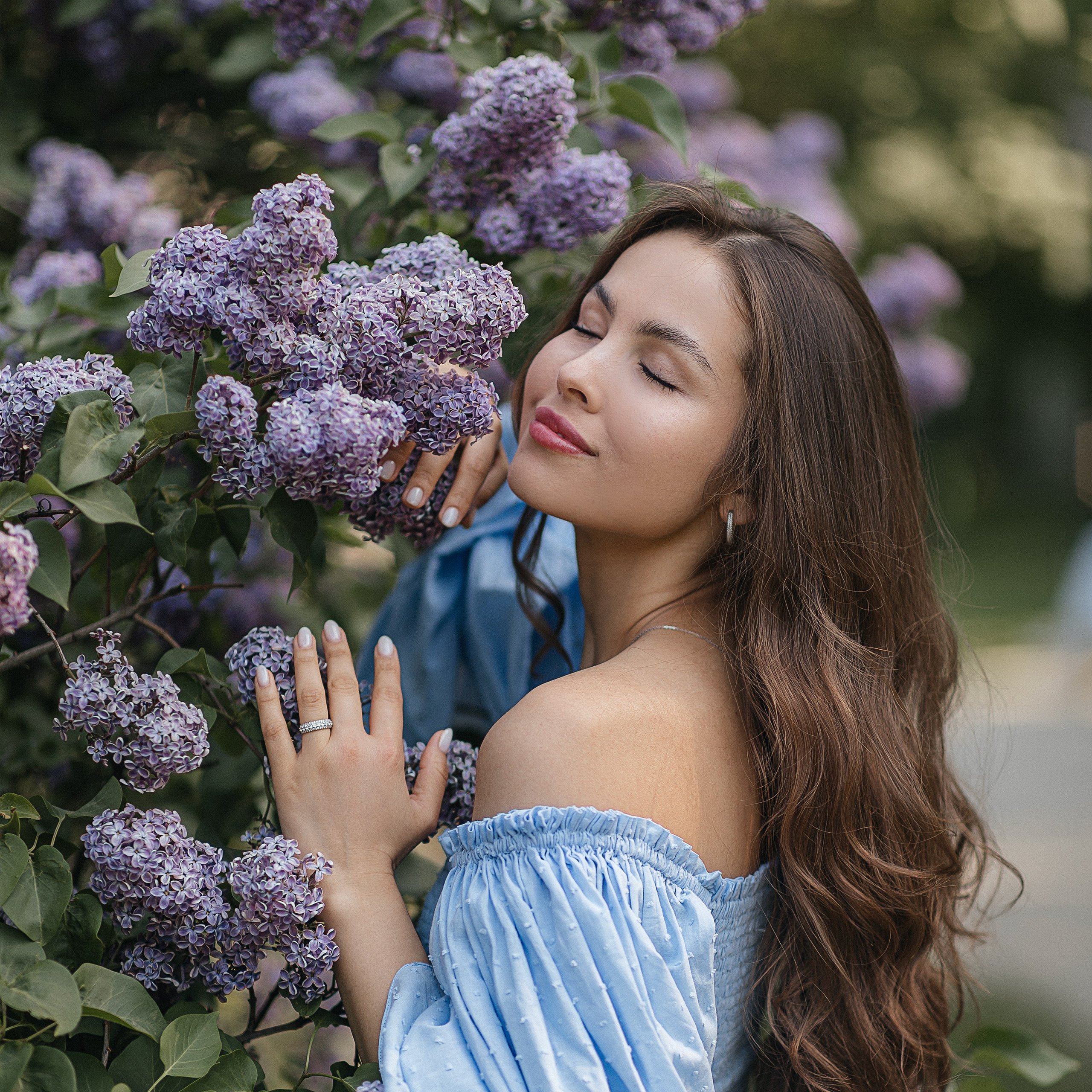 Сирень Азиза