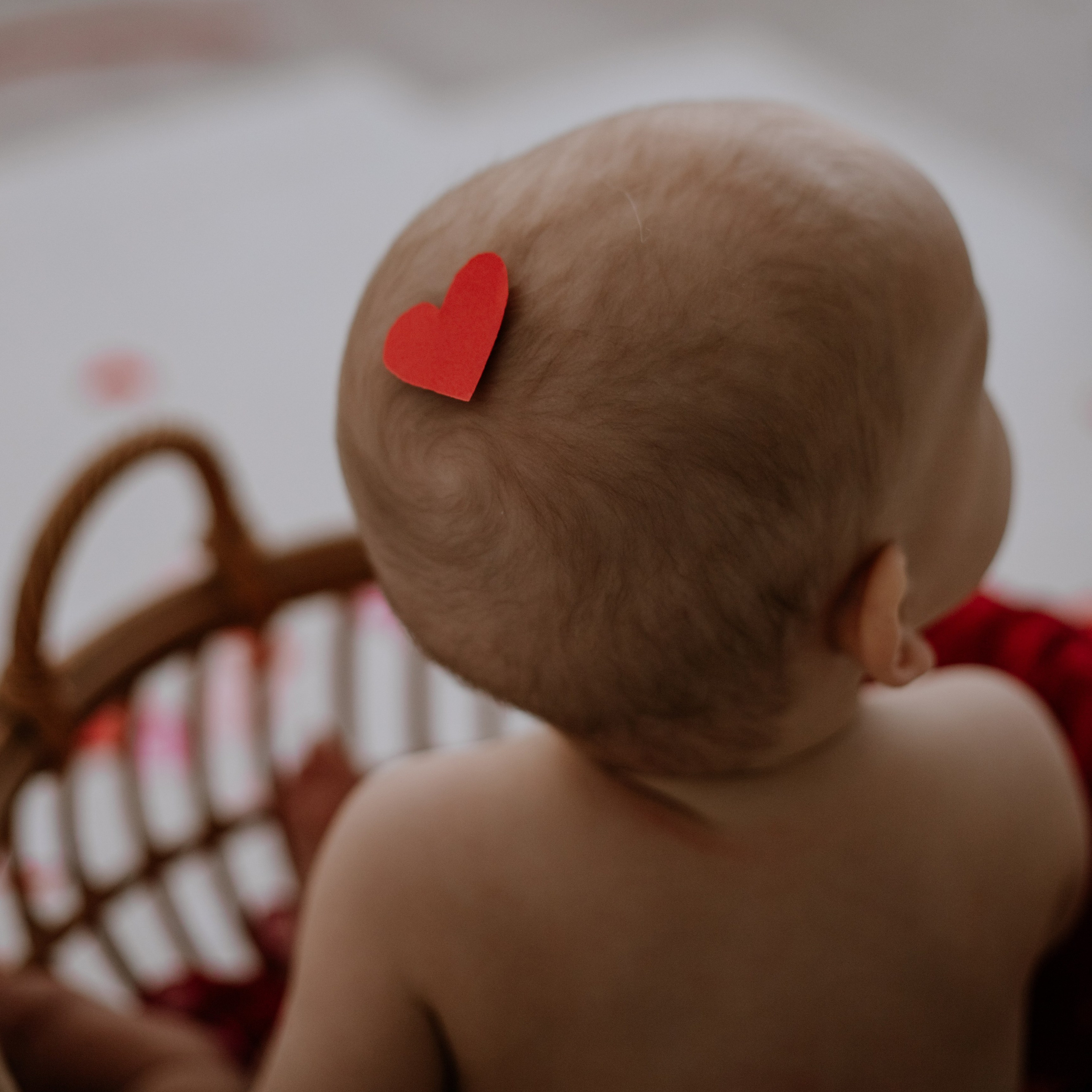 Отзывы. Ваш фотограф в г. Абакан и г. Черногорск