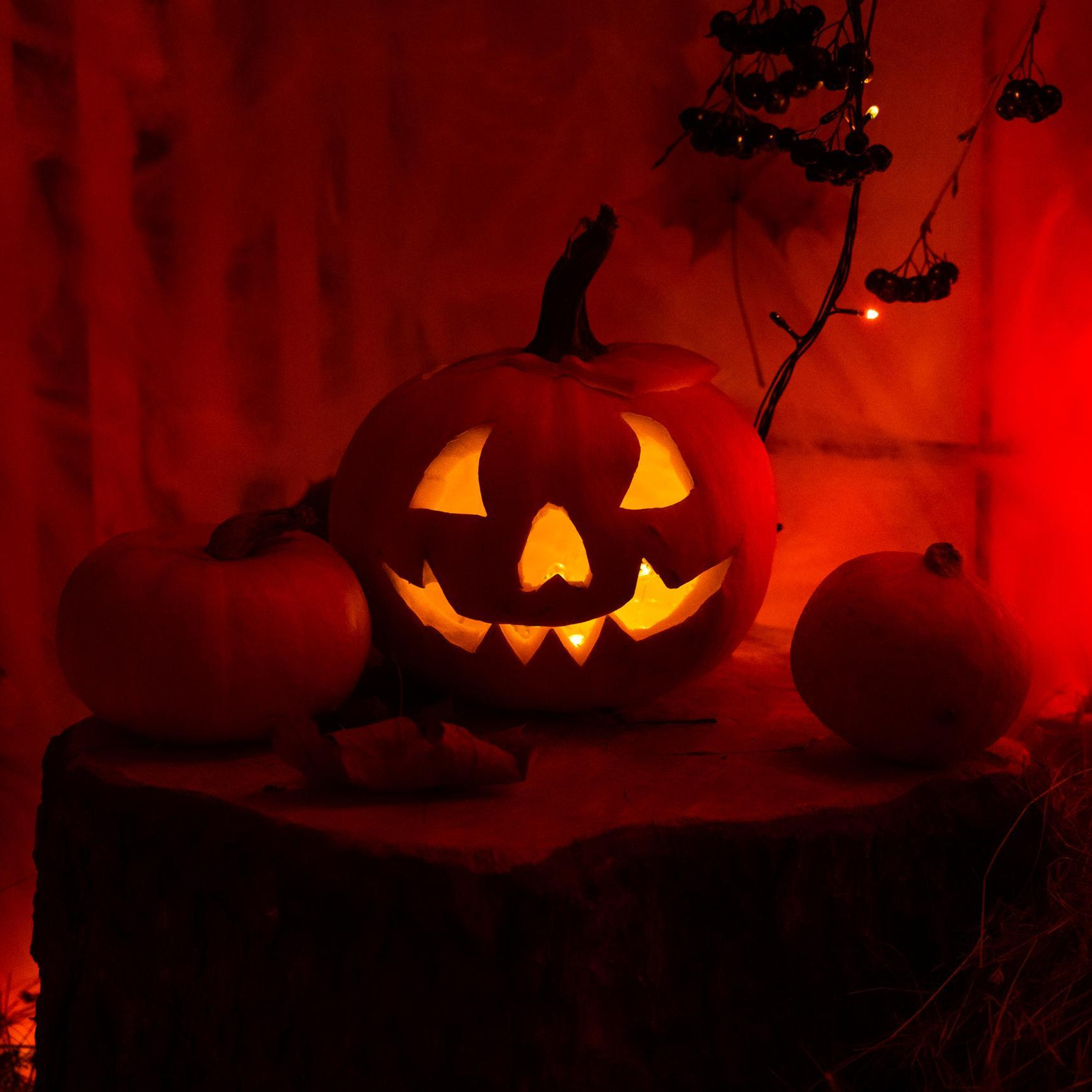 Отзывы. Фотопроекты и ретушь любой сложности