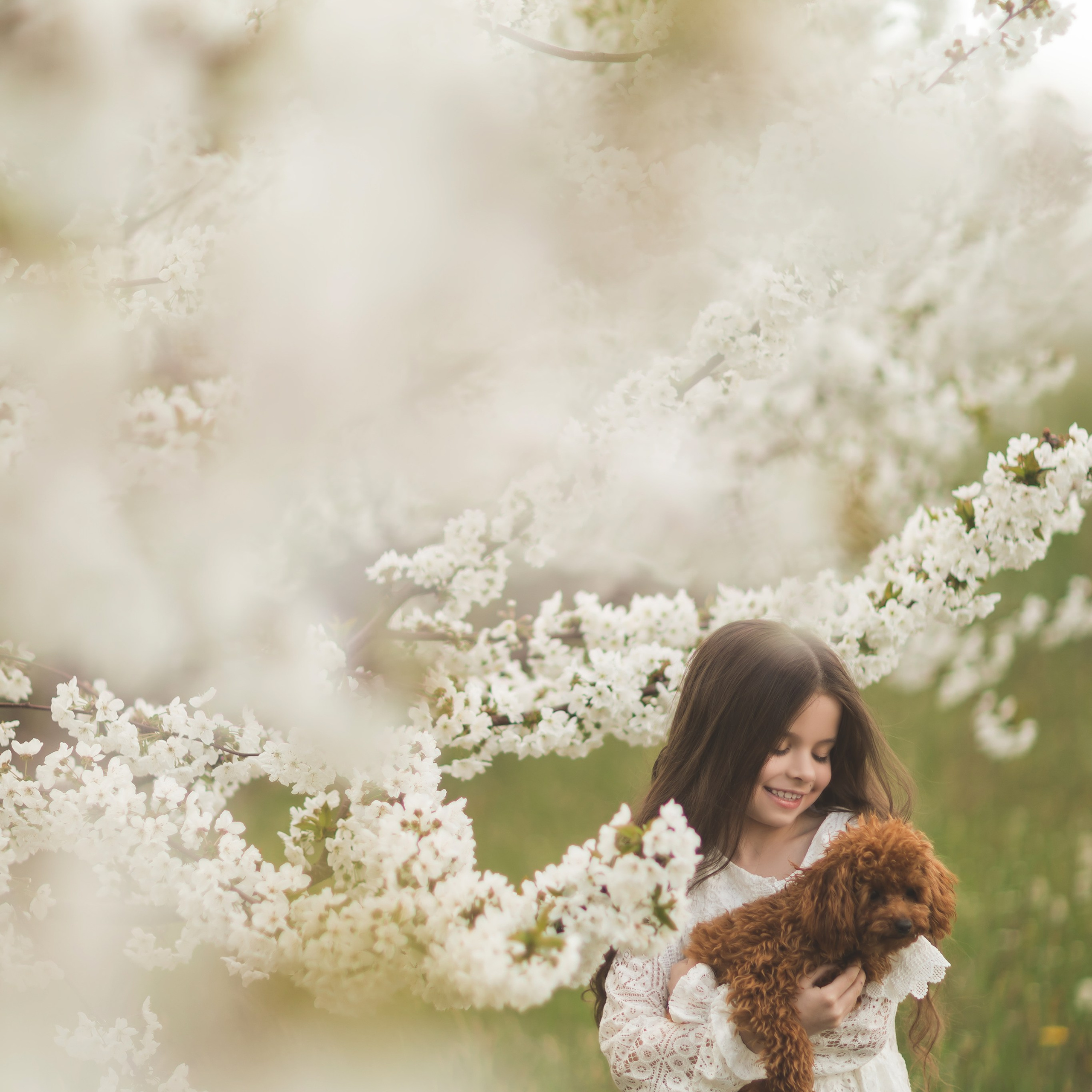 Фотодень в&nbsp;вишневом саду 11&nbsp;апреля