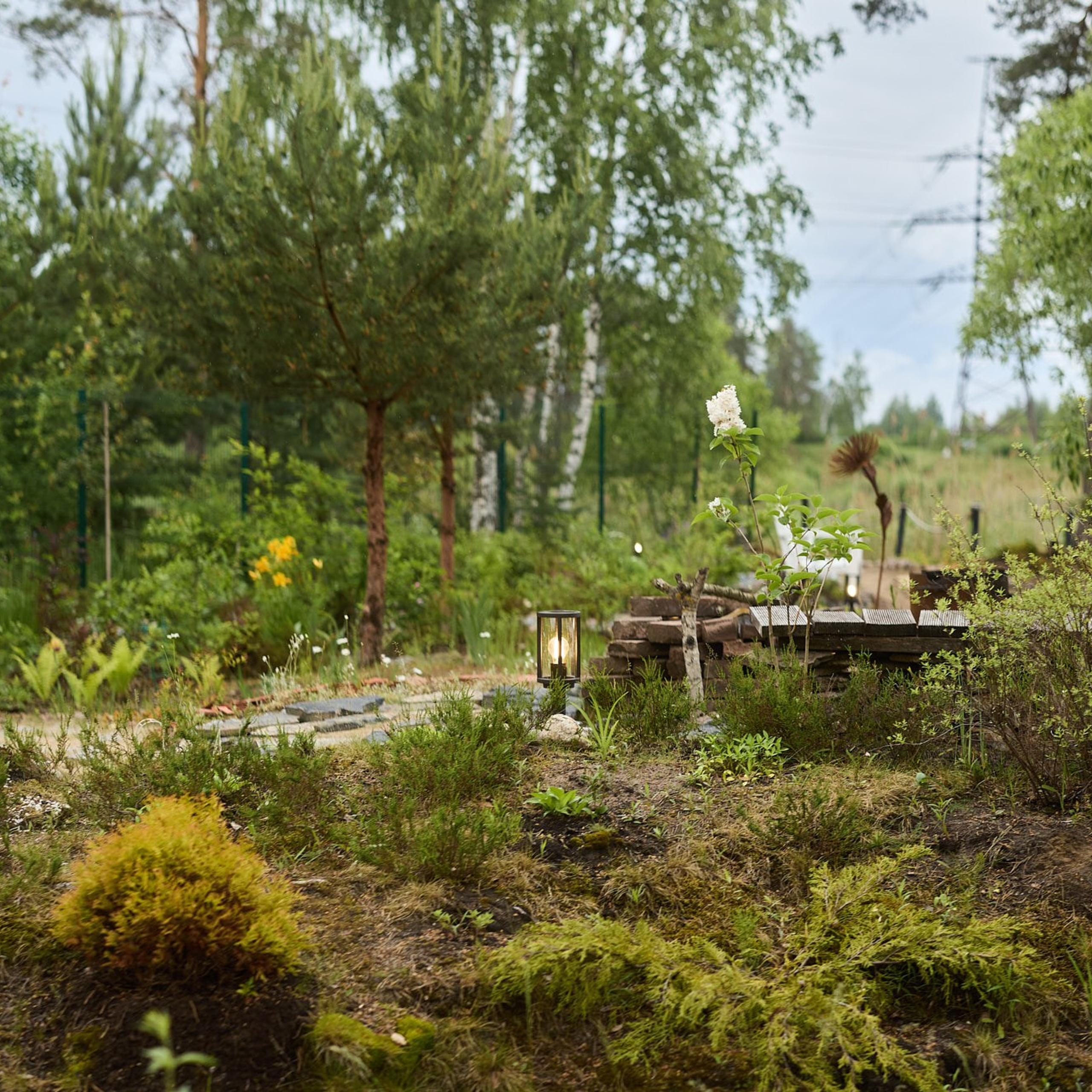 фотограф ландшафта