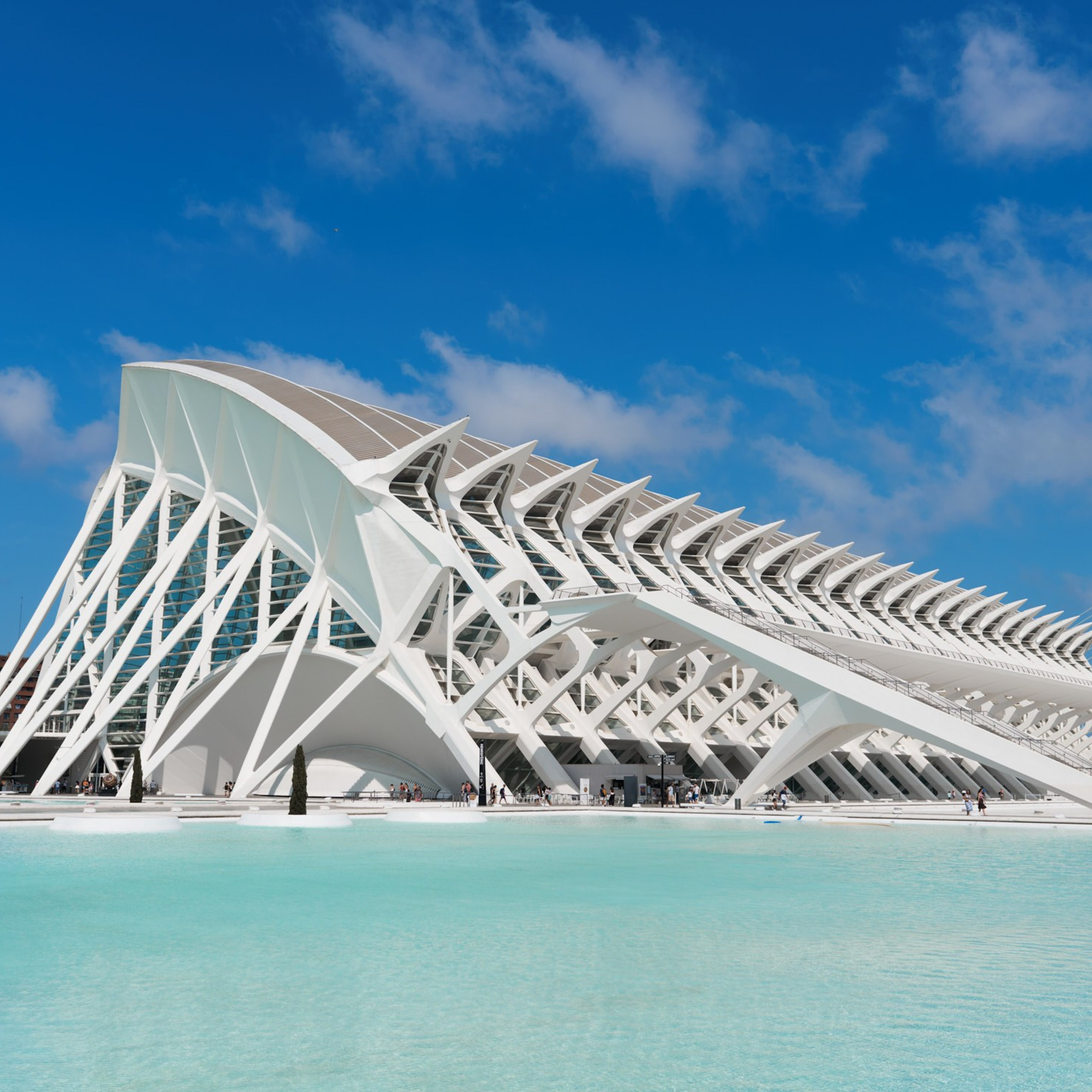 Ciudad de las Artes y las Ciencias Valencia, Ciutat de les Arts i les Ciències València, Город искусств и наук Валенсия, City of Arts and Sciences Valencia, City of Arts and Industry Valencia, architecture photography