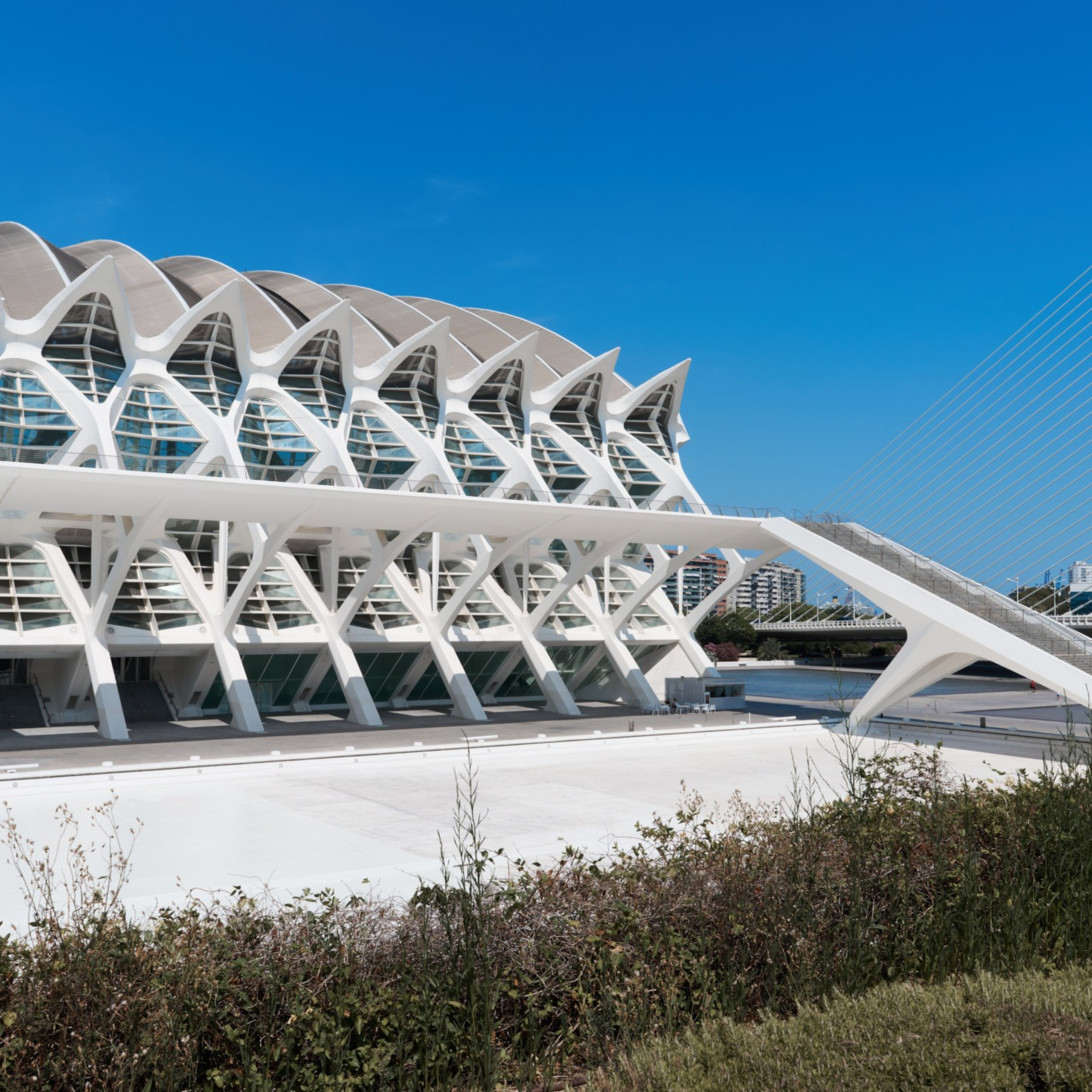 Ciudad de las Artes y las Ciencias Valencia, Ciutat de les Arts i les Ciències València, Город искусств и наук Валенсия, City of Arts and Sciences Valencia, City of Arts and Industry Valencia, architecture photographer