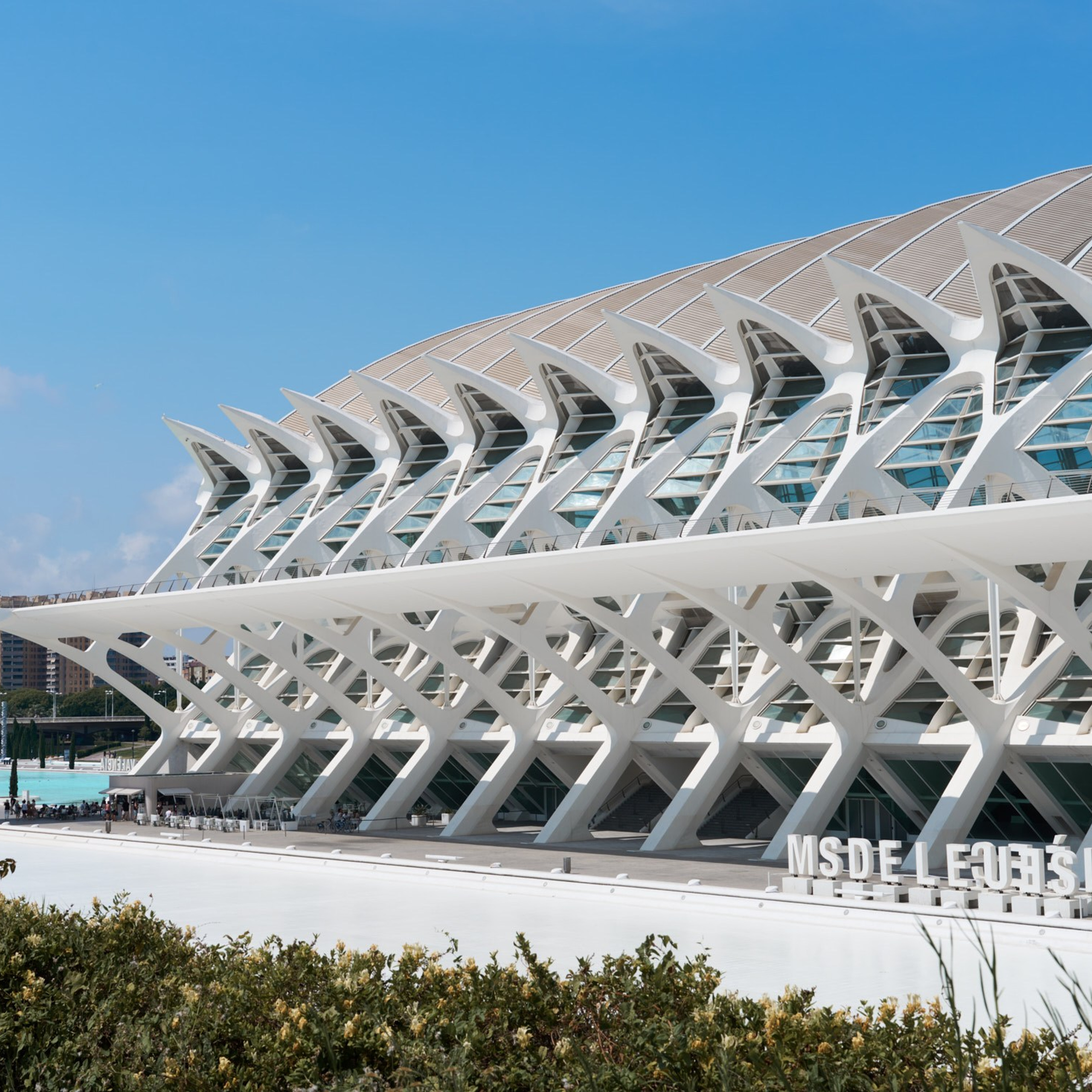 Ciudad de las Artes y las Ciencias Valencia, Ciutat de les Arts i les Ciències València, Город искусств и наук Валенсия, City of Arts and Sciences Valencia, City of Arts and Industry Valencia, architecture photographer