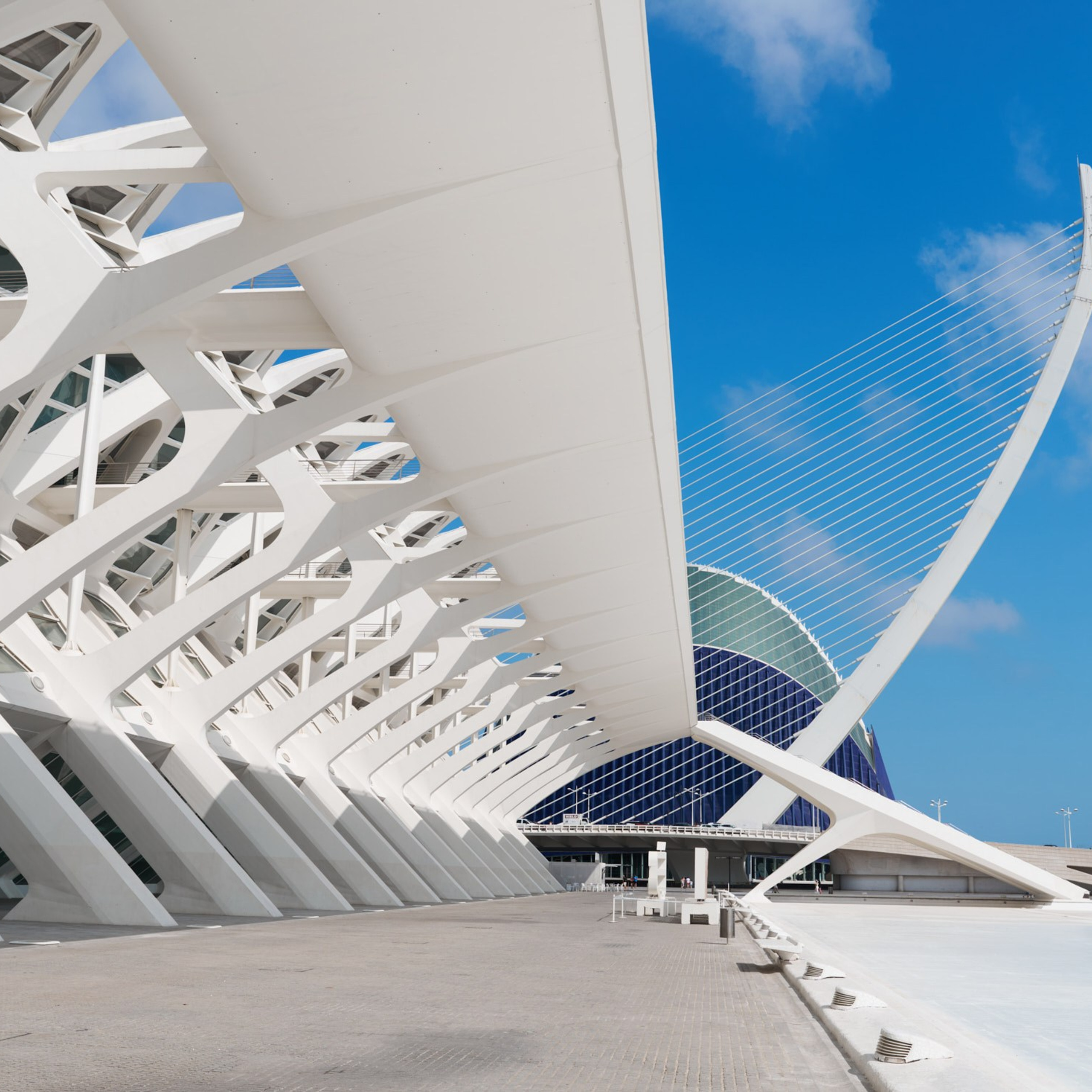 Ciudad de las Artes y las Ciencias Valencia, Ciutat de les Arts i les Ciències València, Город искусств и наук Валенсия, City of Arts and Sciences Valencia, City of Arts and Industry Valencia, architecture photographer