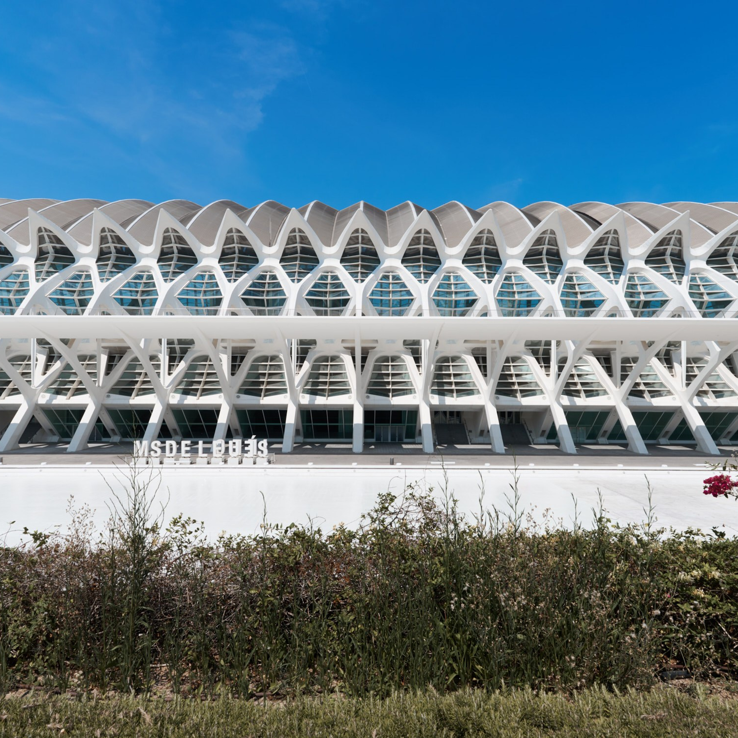 Ciudad de las Artes y las Ciencias Valencia, Ciutat de les Arts i les Ciències València, Город искусств и наук Валенсия, City of Arts and Sciences Valencia, City of Arts and Industry Valencia, architecture photographer