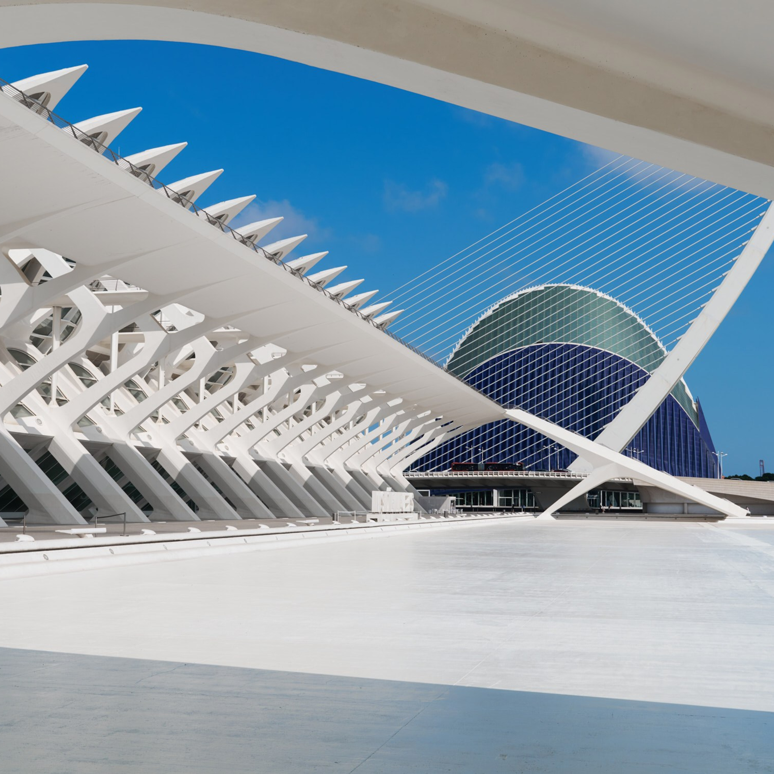 Ciudad de las Artes y las Ciencias Valencia, Ciutat de les Arts i les Ciències València, Город искусств и наук Валенсия, City of Arts and Sciences Valencia, City of Arts and Industry Valencia, architecture photographer