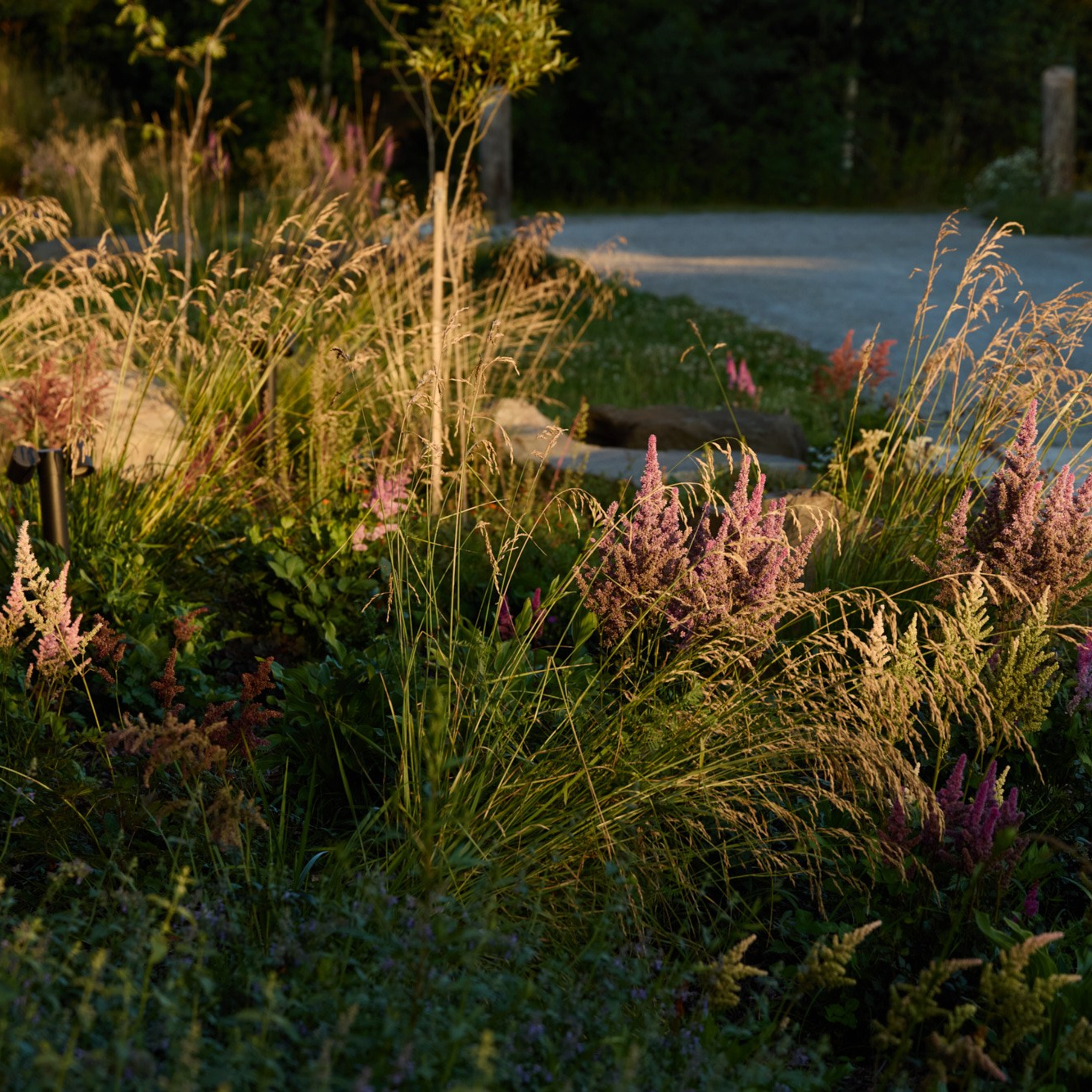 Фотосъемка садов. Интерьерный фотограф и видеограф в Санкт-Петербурге и Москве